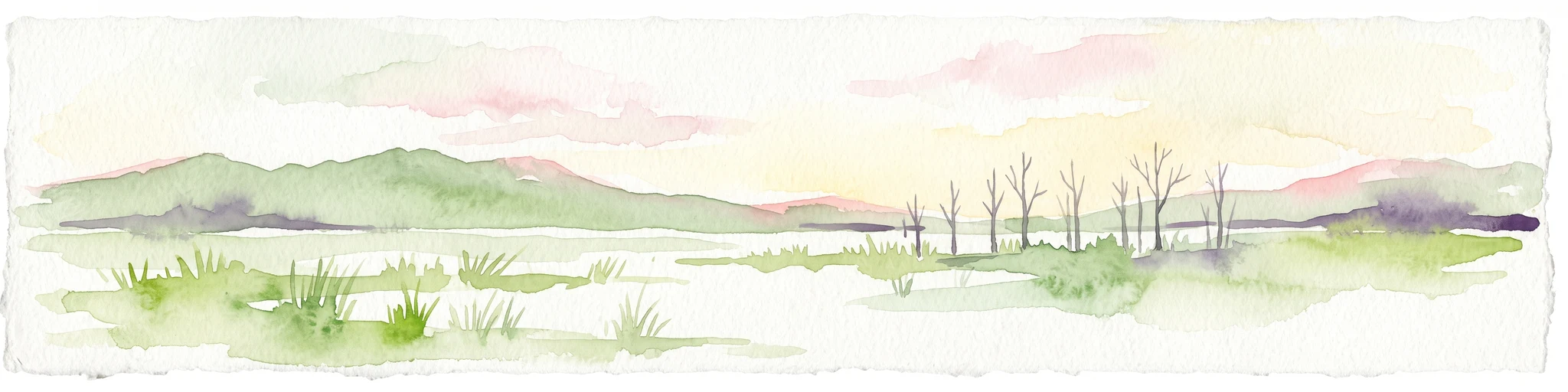 A horizontal watercolor painting depicting a wetland landscape with grassy foreground, bare skeletal trees, and rolling green hills under a soft, pale sky.