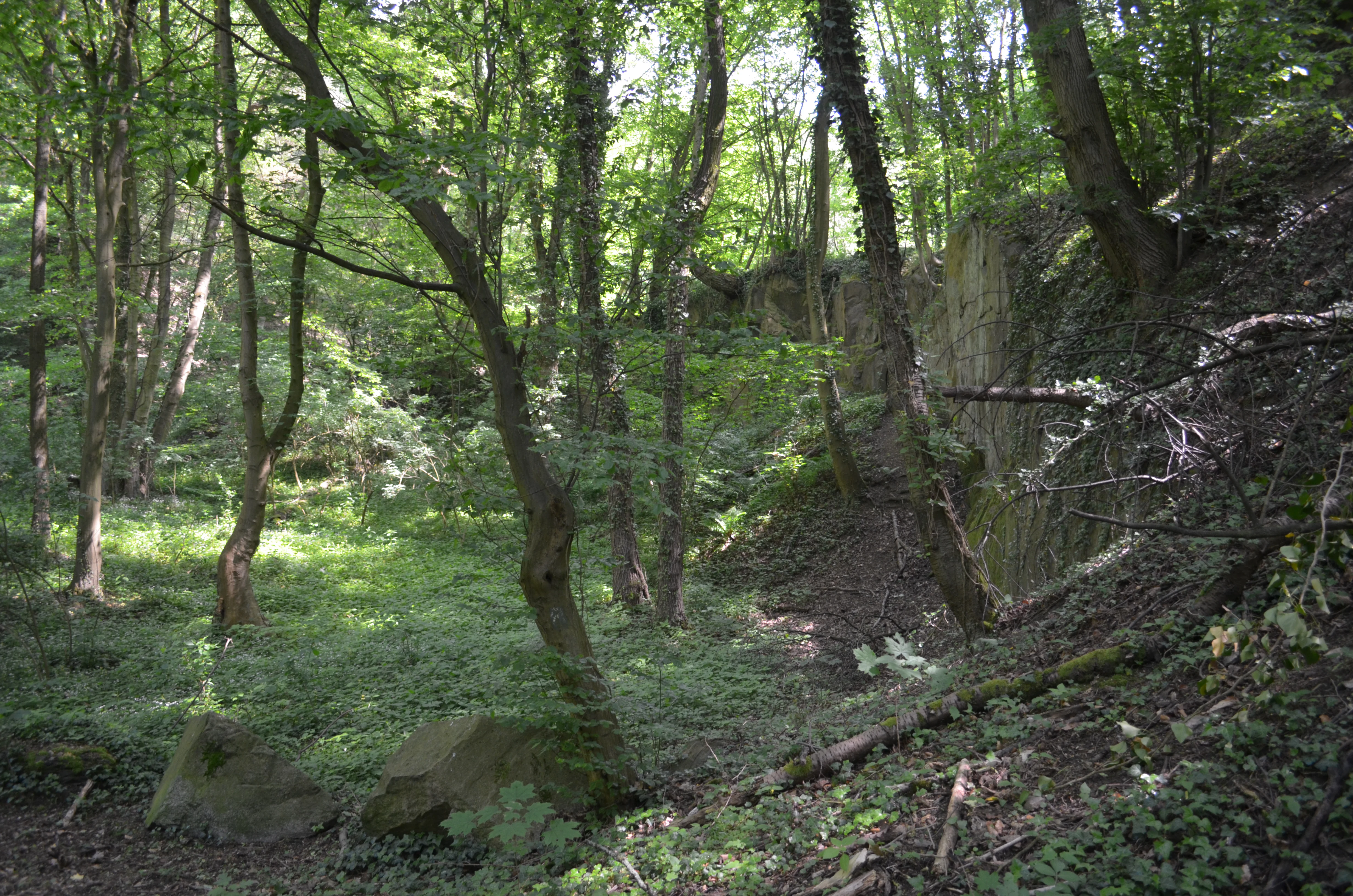 Orbishohe view