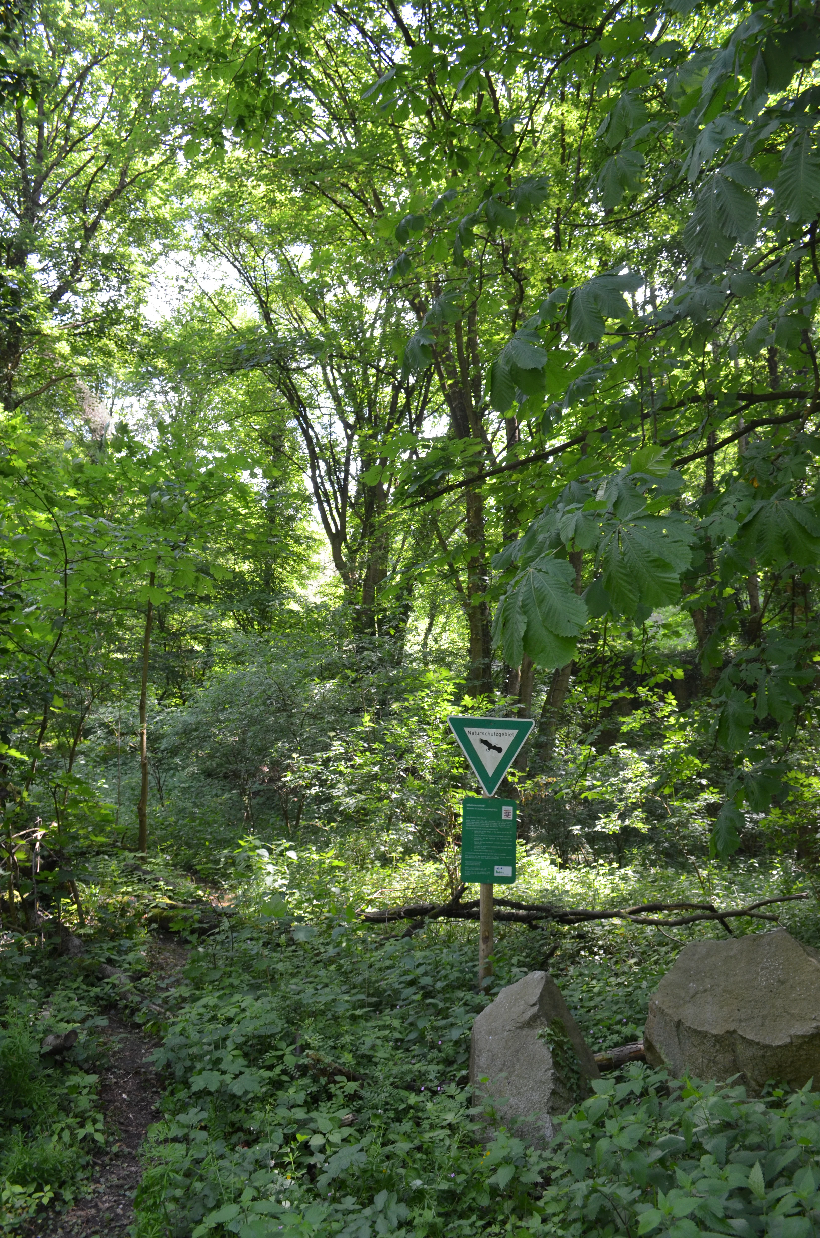 Orbishohe landscape view