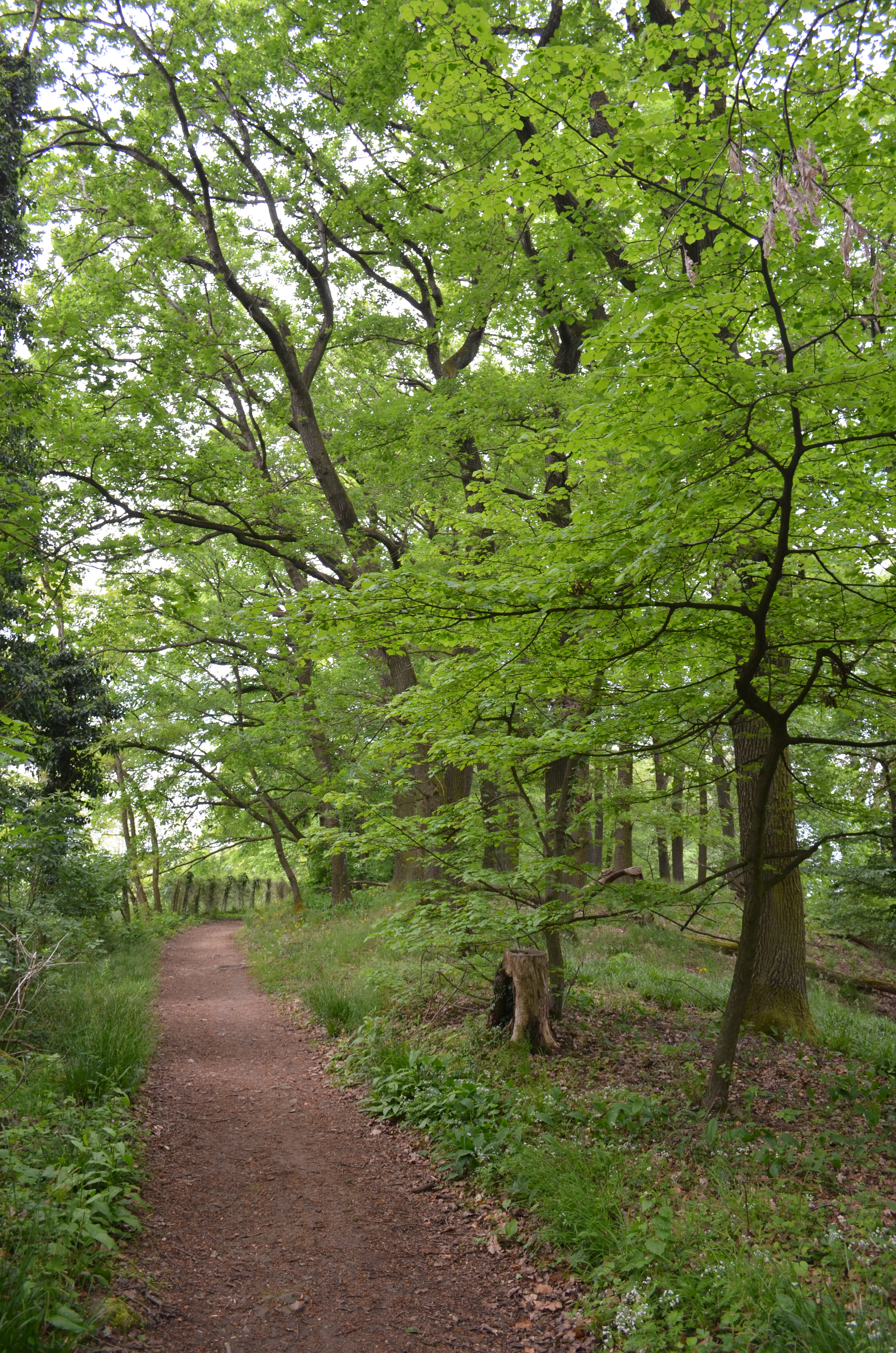 Orbishohe landscape view