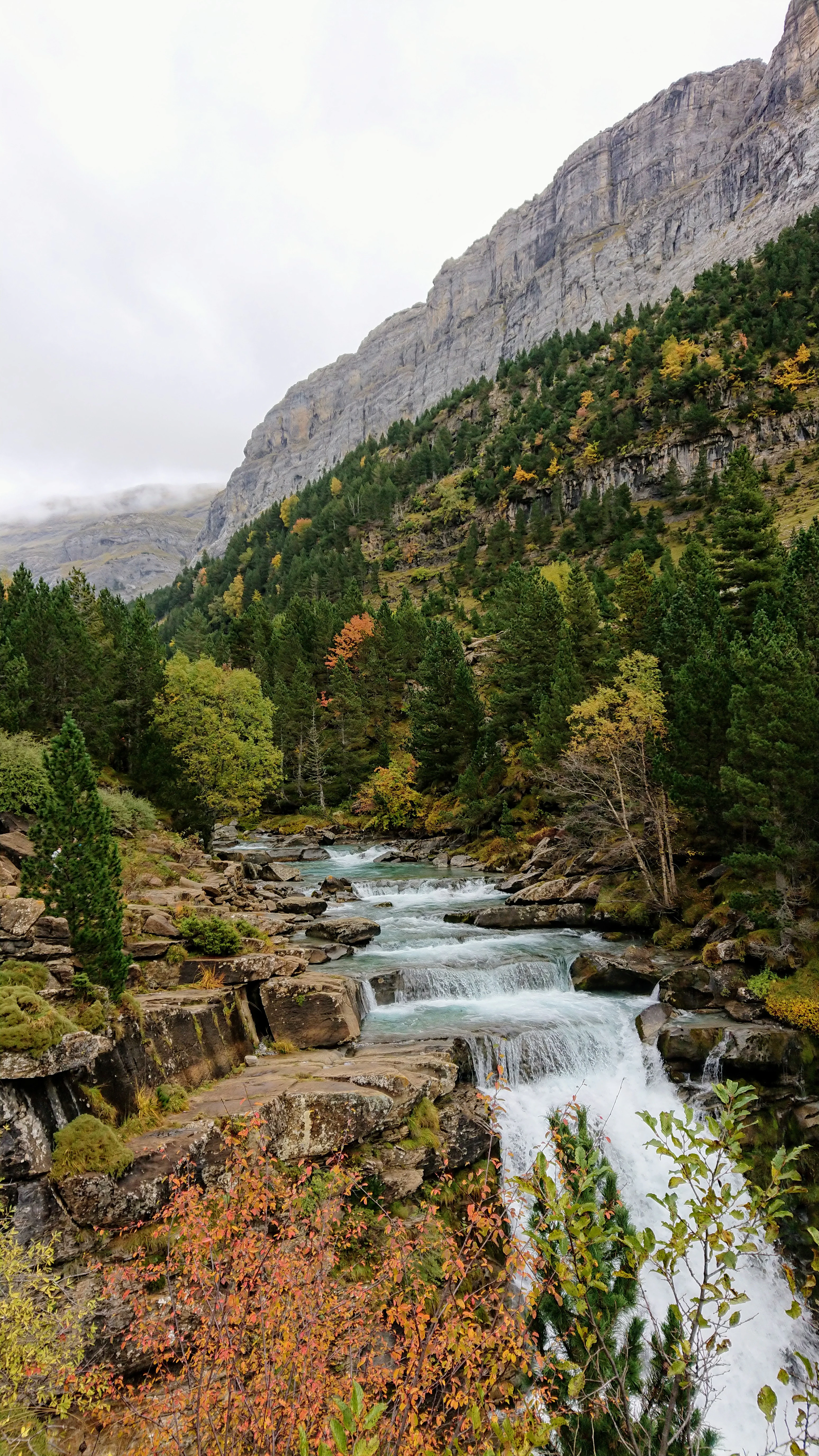 A waterfall flowing over rocks in a mountain valley surrounded by trees with autumn foliage and cliffs