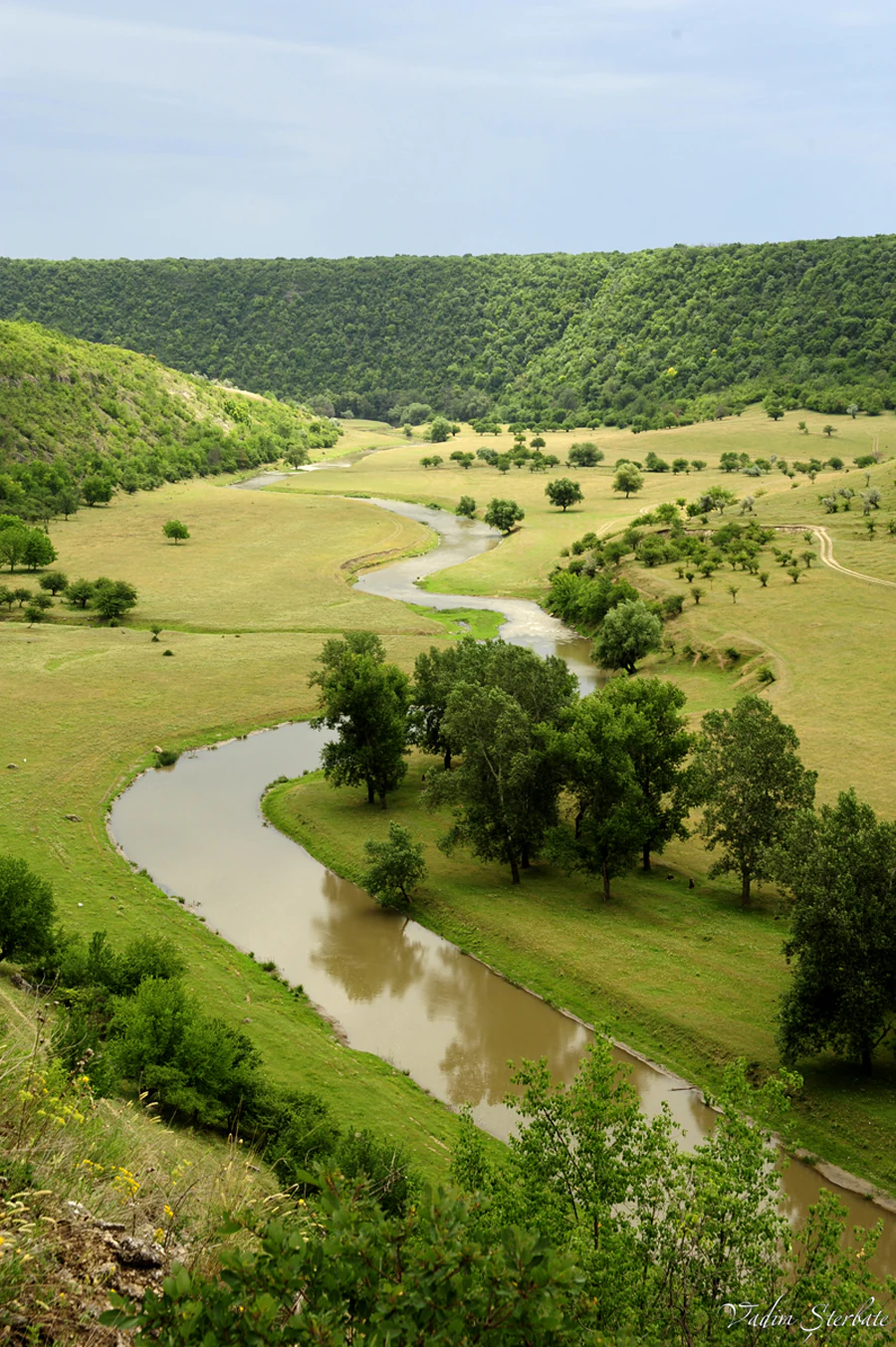 A winding river flows through a grassy valley with scattered trees and forested hills under a partly cloudy sky