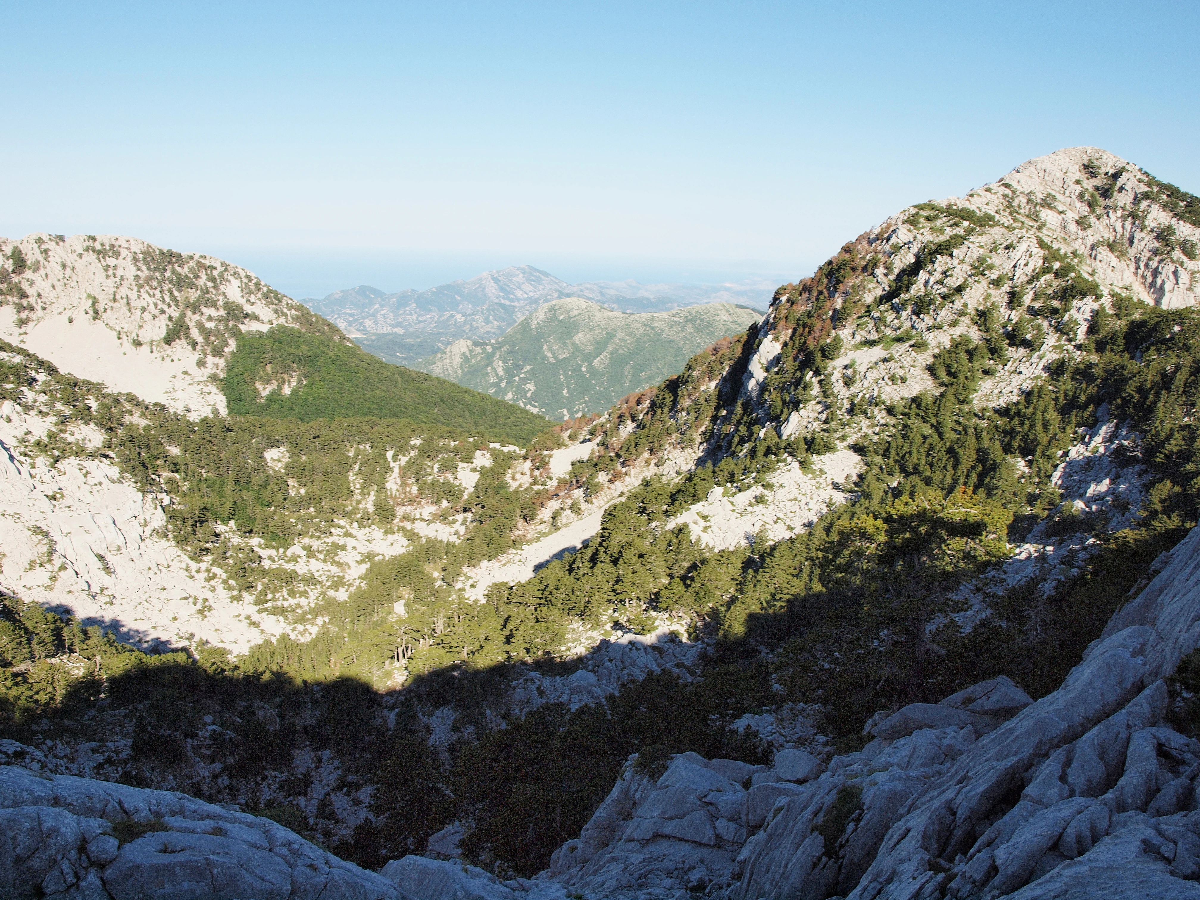 A wide mountain landscape featuring rocky limestone slopes partially covered with sparse green pine trees and deep shadows under a clear blue sky.