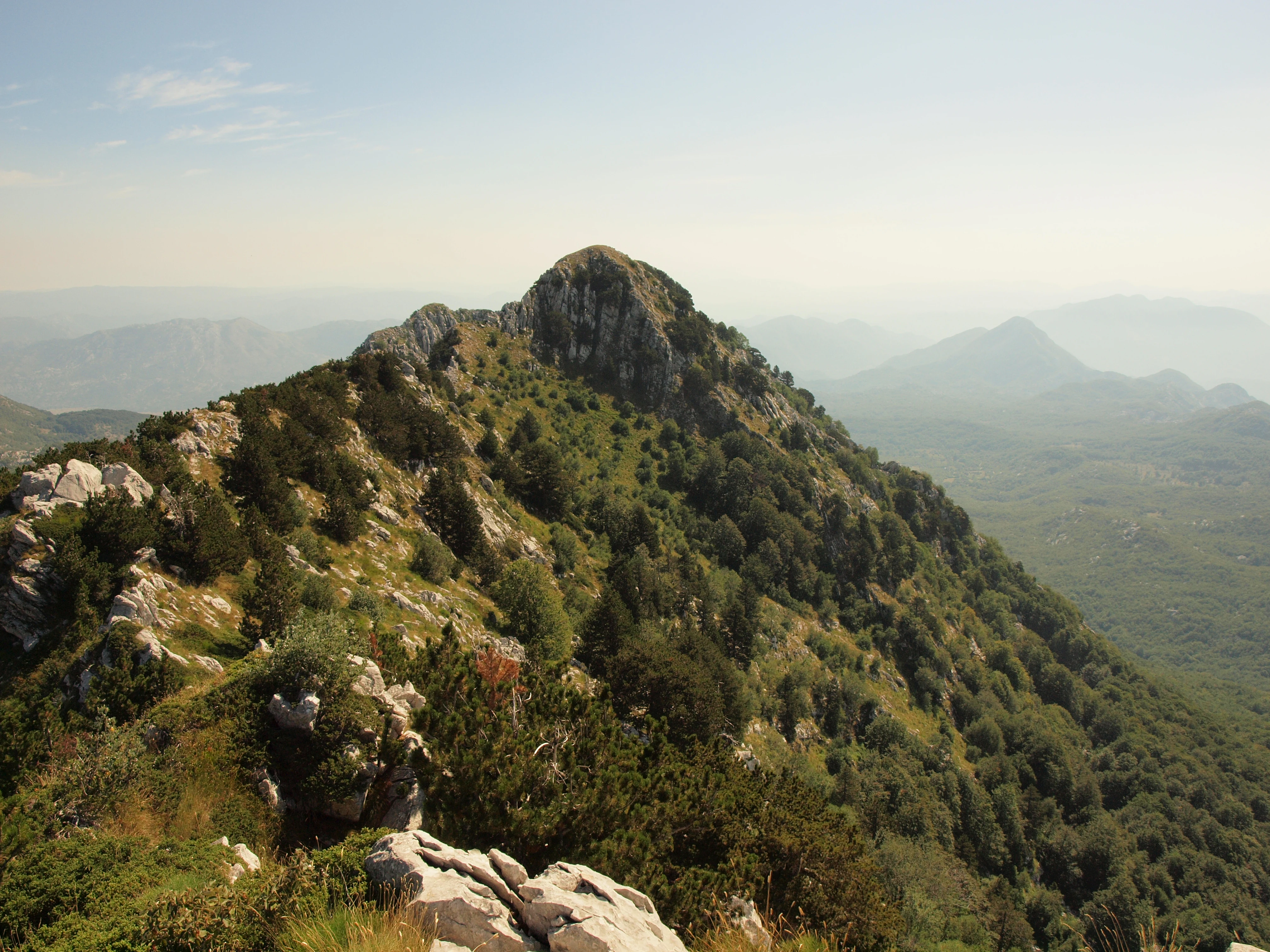 A high-angle view of a rocky, forested mountain peak in Orjen, Montenegro, under a clear sky.
