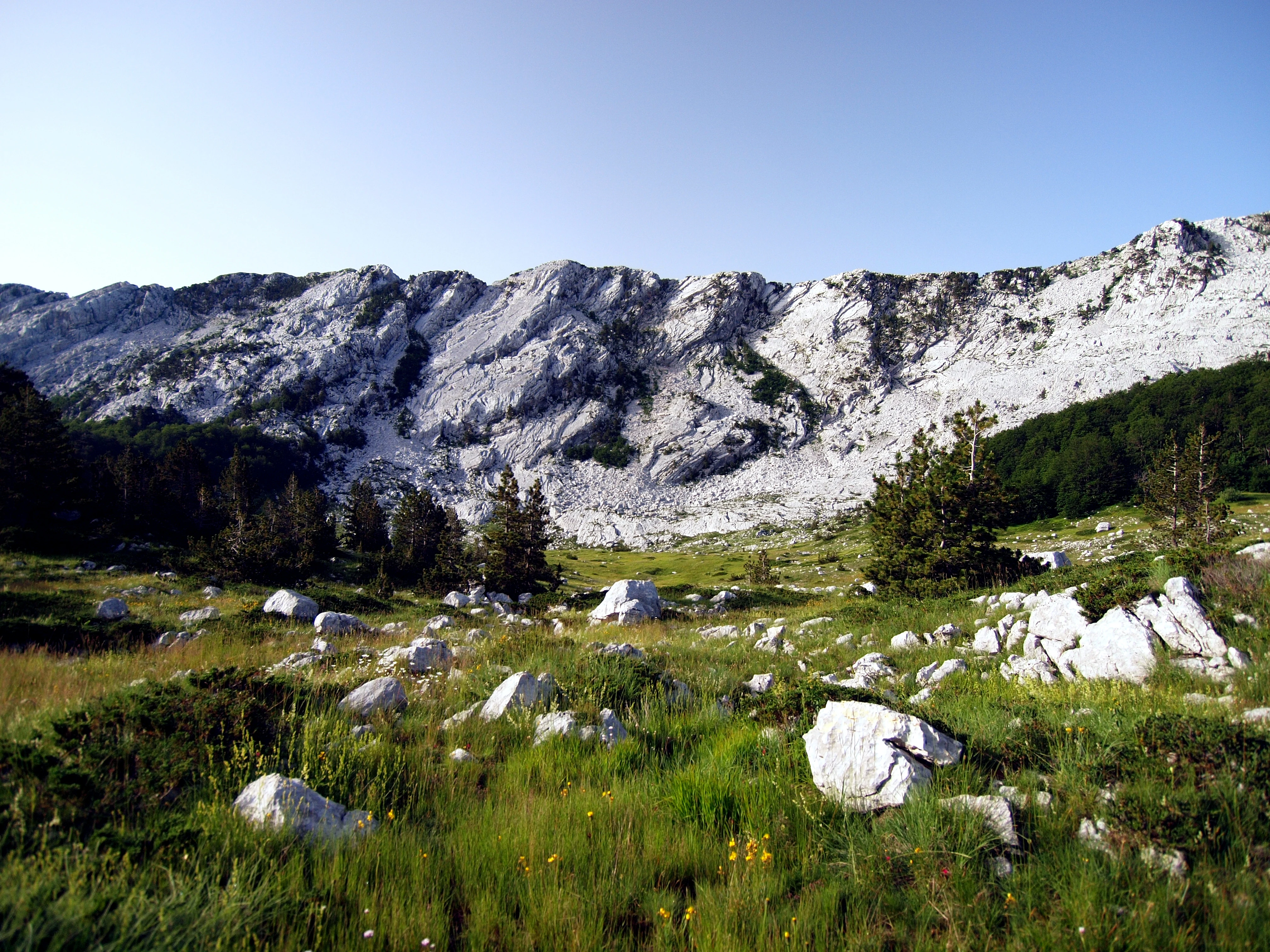A wide, eye-level view of a lush green meadow filled with white limestone boulders at the base of a massive, jagged grey mountain ridge under a clear blue sky.