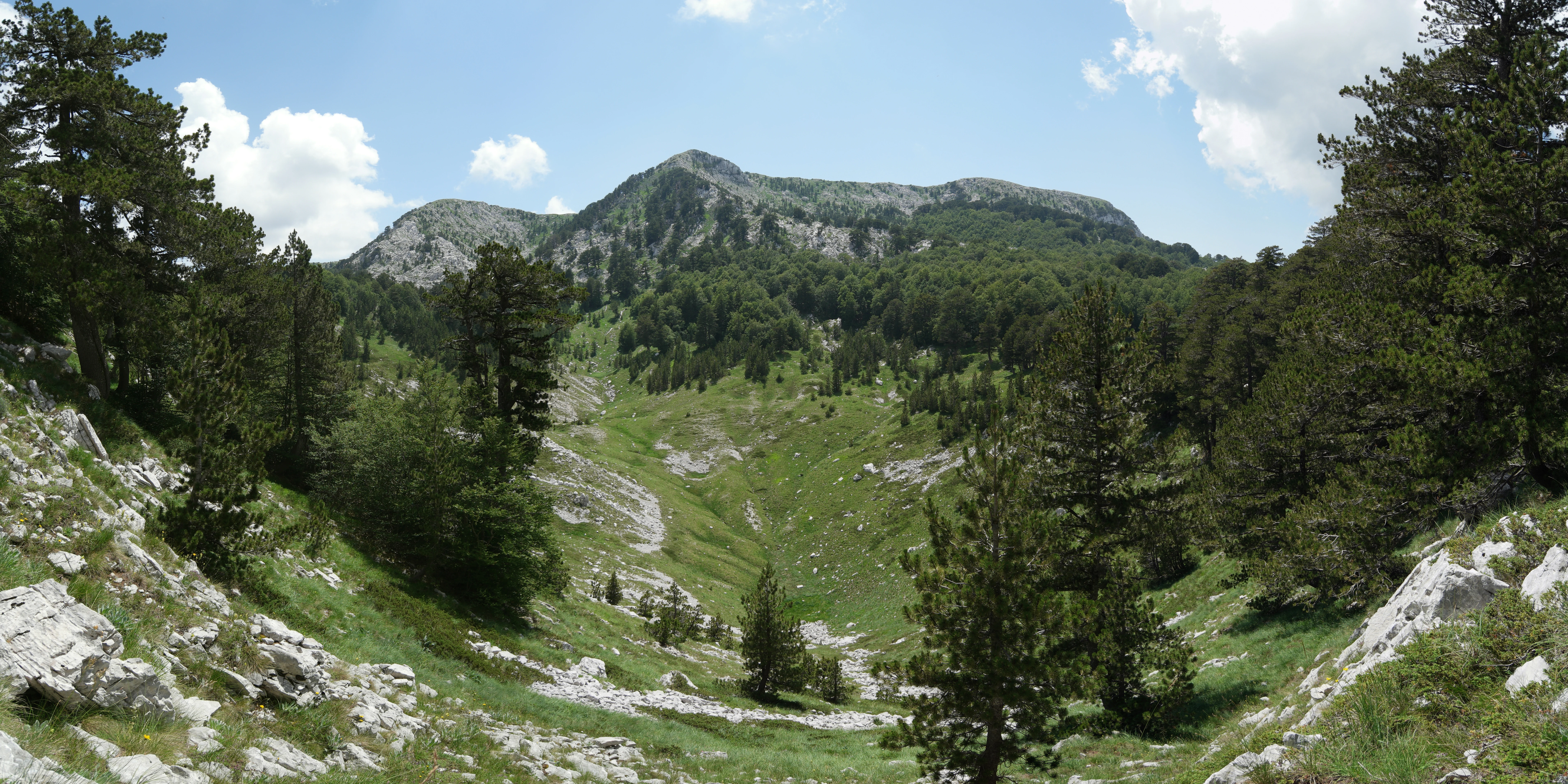 A wide, panoramic mountain landscape featuring a lush green valley bowl surrounded by rocky peaks and coniferous trees.