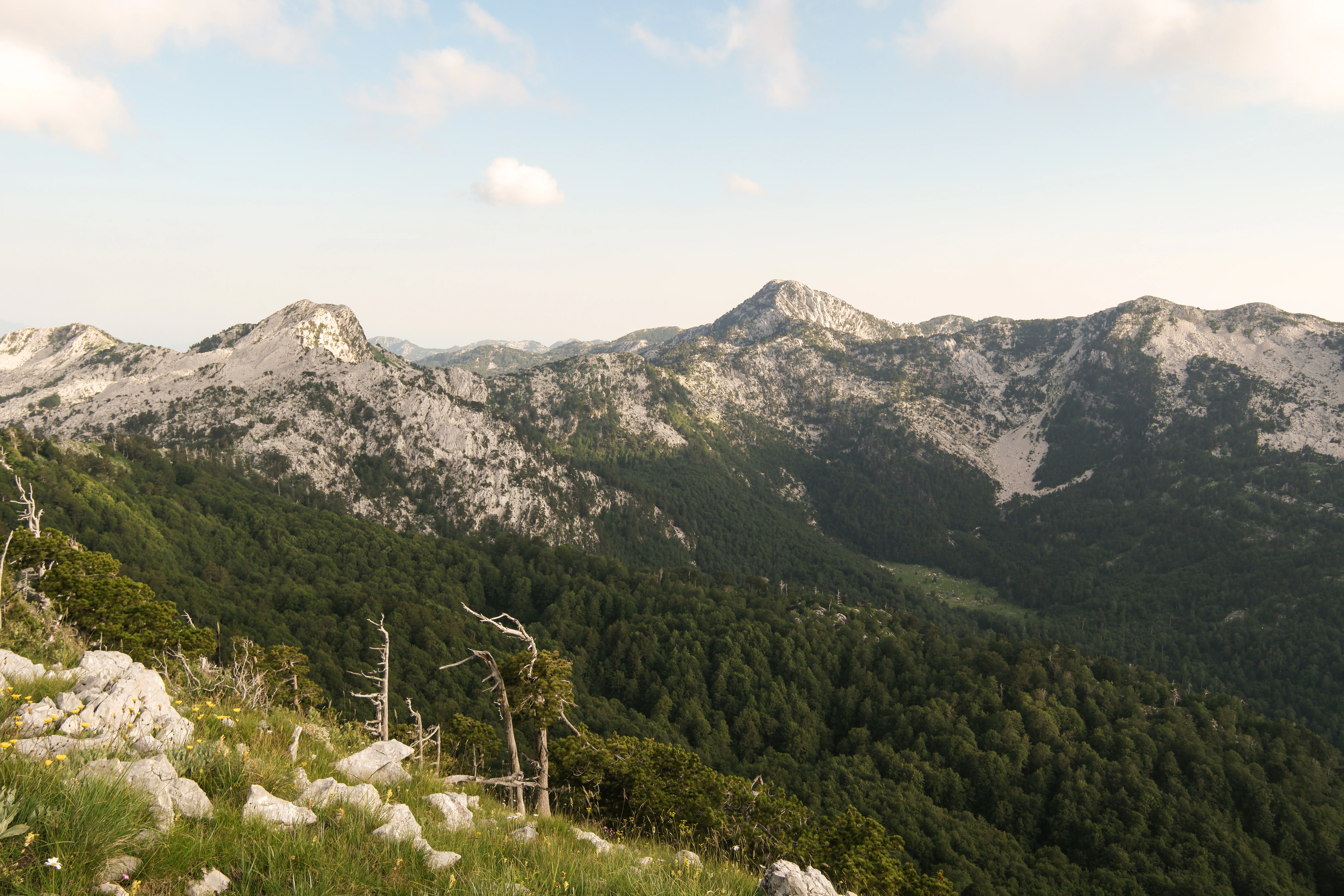 Rugged, rocky mountain peaks rise above a dense forest canopy under a clear sky in the Orjen range.