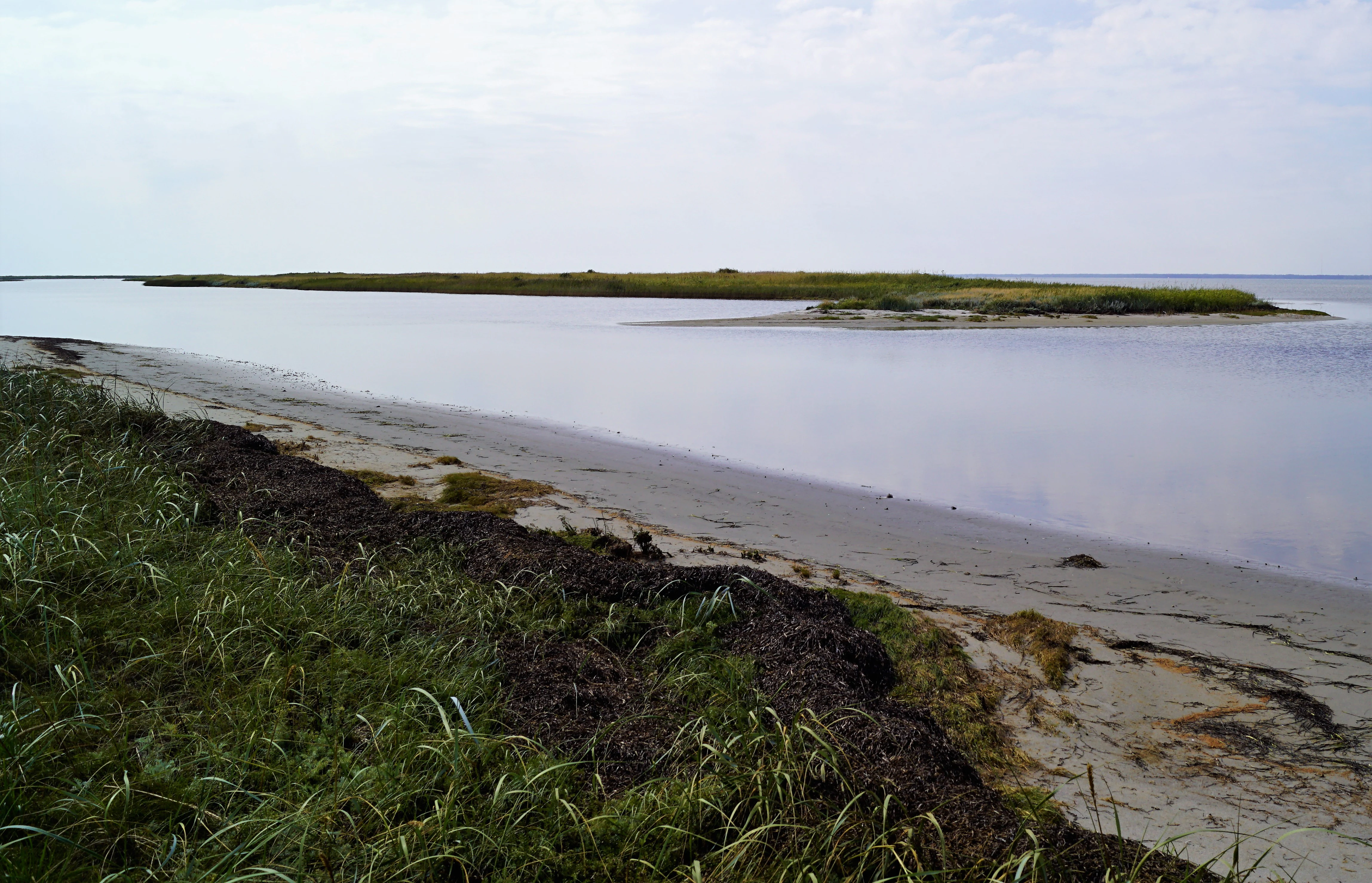 A low-lying coastal landscape with a sandy beach, shoreline vegetation, and a narrow grass-covered islet in the calm water under an overcast sky.