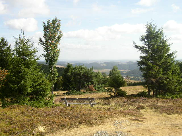 A wooden bench placed on a grassy, heath-covered summit with conifers nearby and rolling hills in the distance.