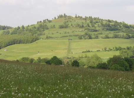 A green, rounded mountain peak rises above rolling, grassy hills with small trees and shrubs scattered across the slopes.