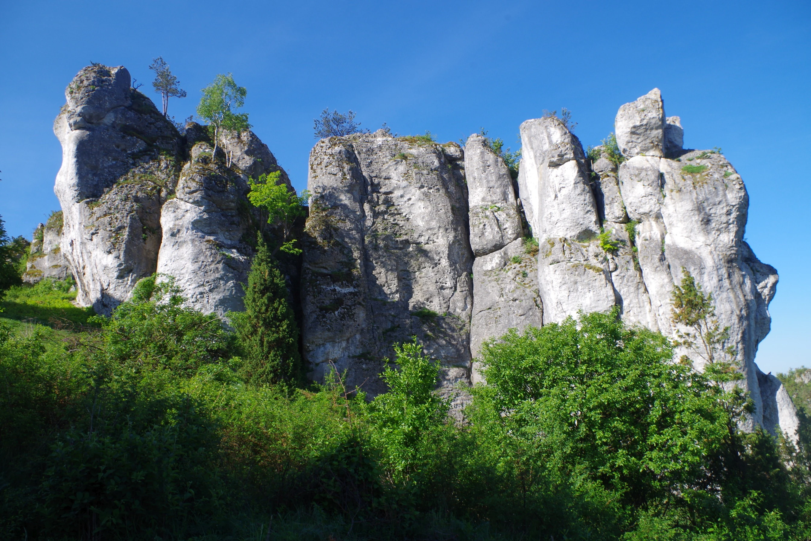 A group of light-colored, jagged limestone rock formations rising from a lush green forest under a clear blue sky.