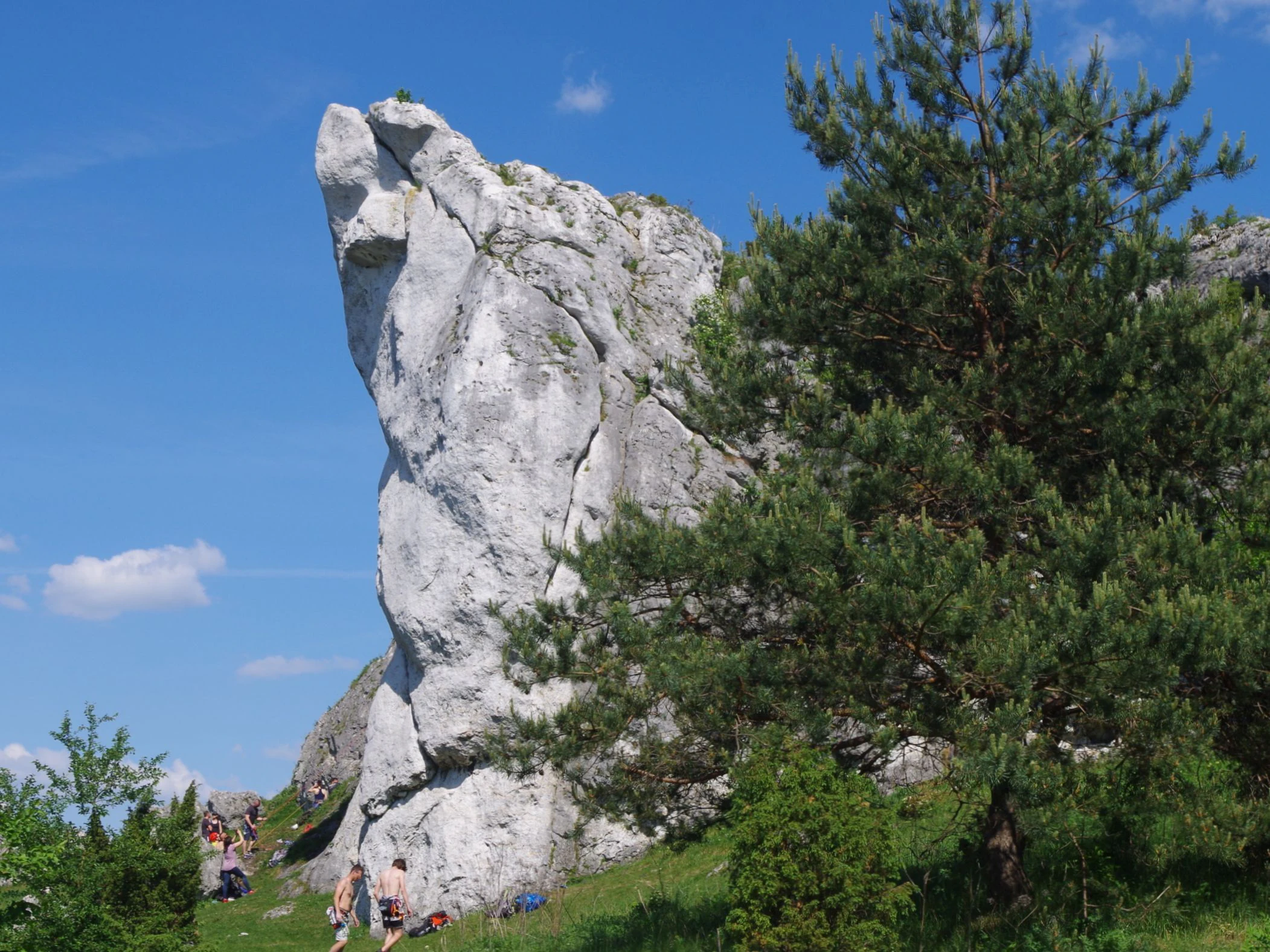 A large, pale limestone rock formation stands prominently against a clear blue sky, partially obscured by a green pine tree, with a few people visible near the base of the rock.