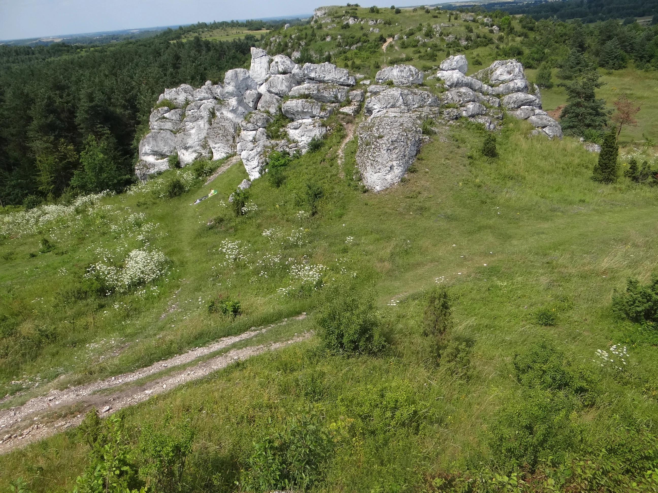 A green grassy hillside featuring large exposed limestone rock formations with a dirt path leading toward them and a forest in the background.