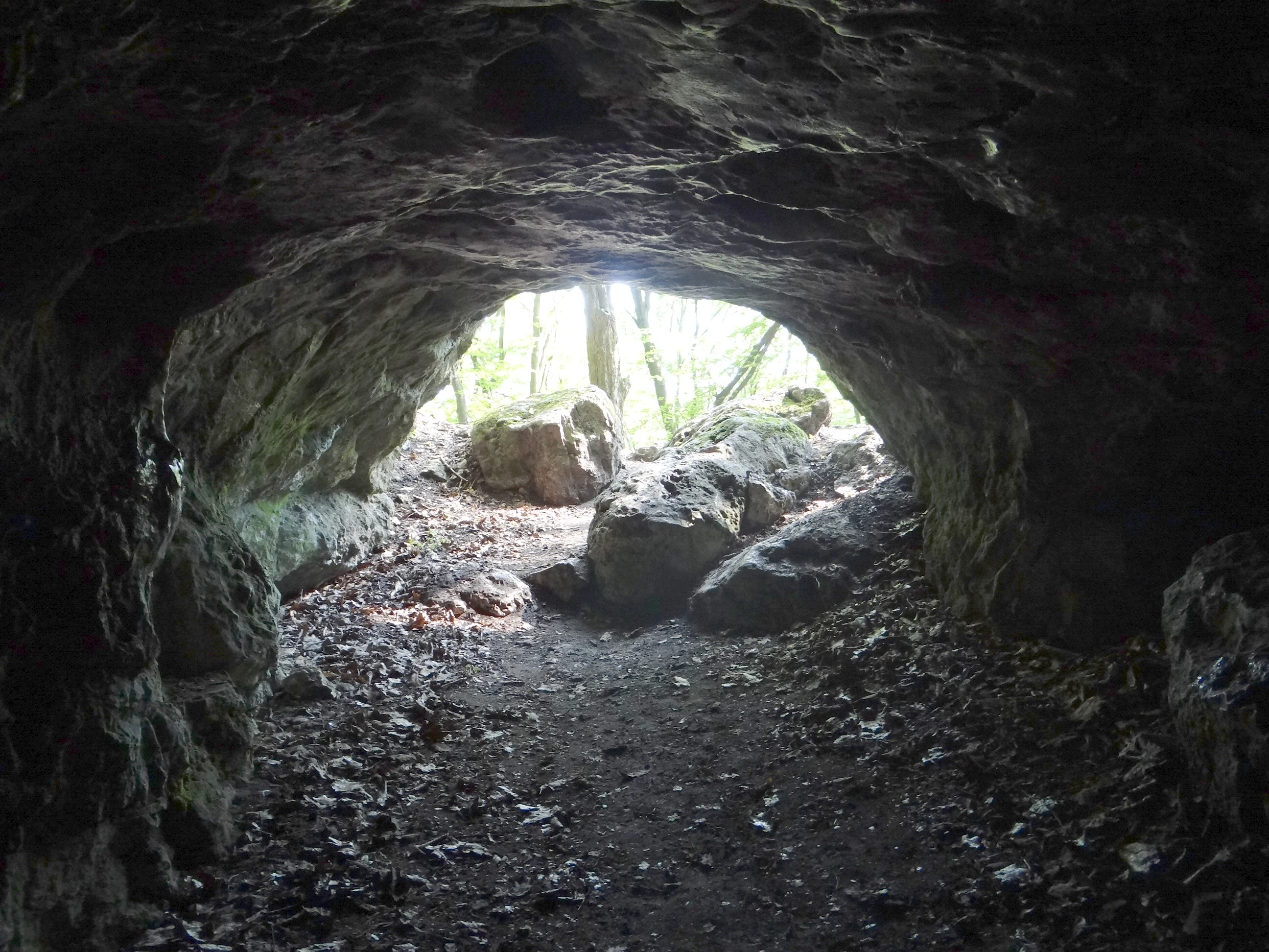 View from inside a small natural cave looking out towards a forested area with limestone boulders near the entrance.