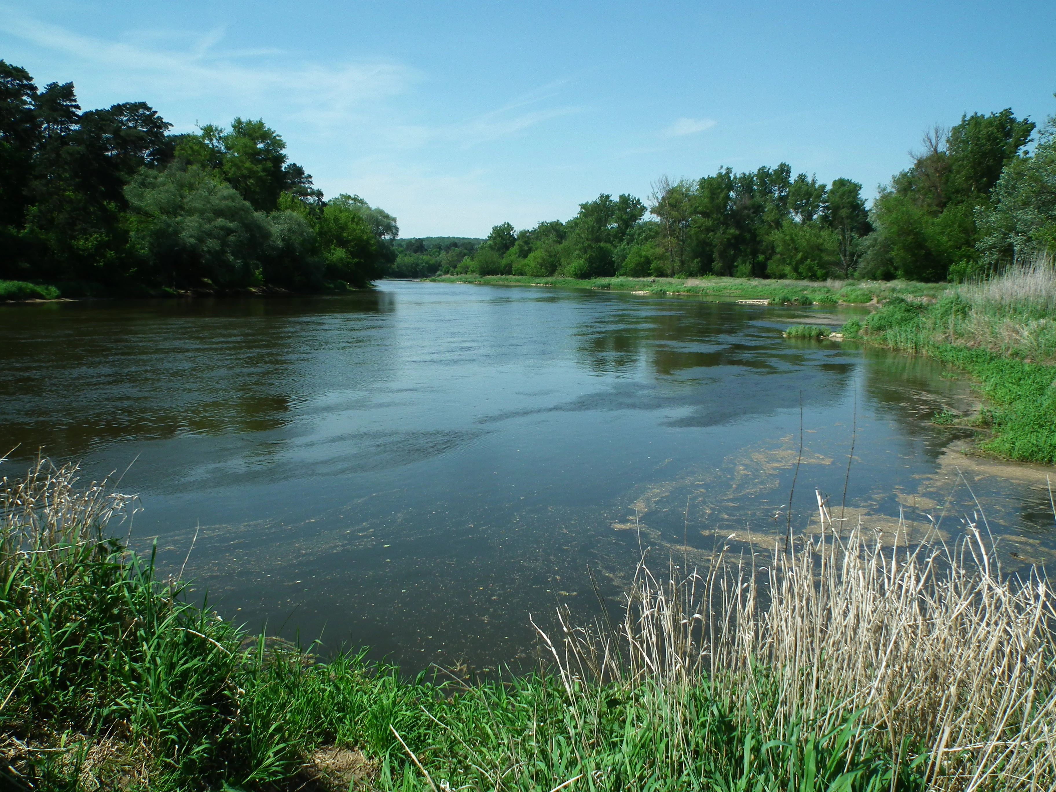 A wide, calm river winding through a lush green landscape with trees on the banks, under a clear blue sky.