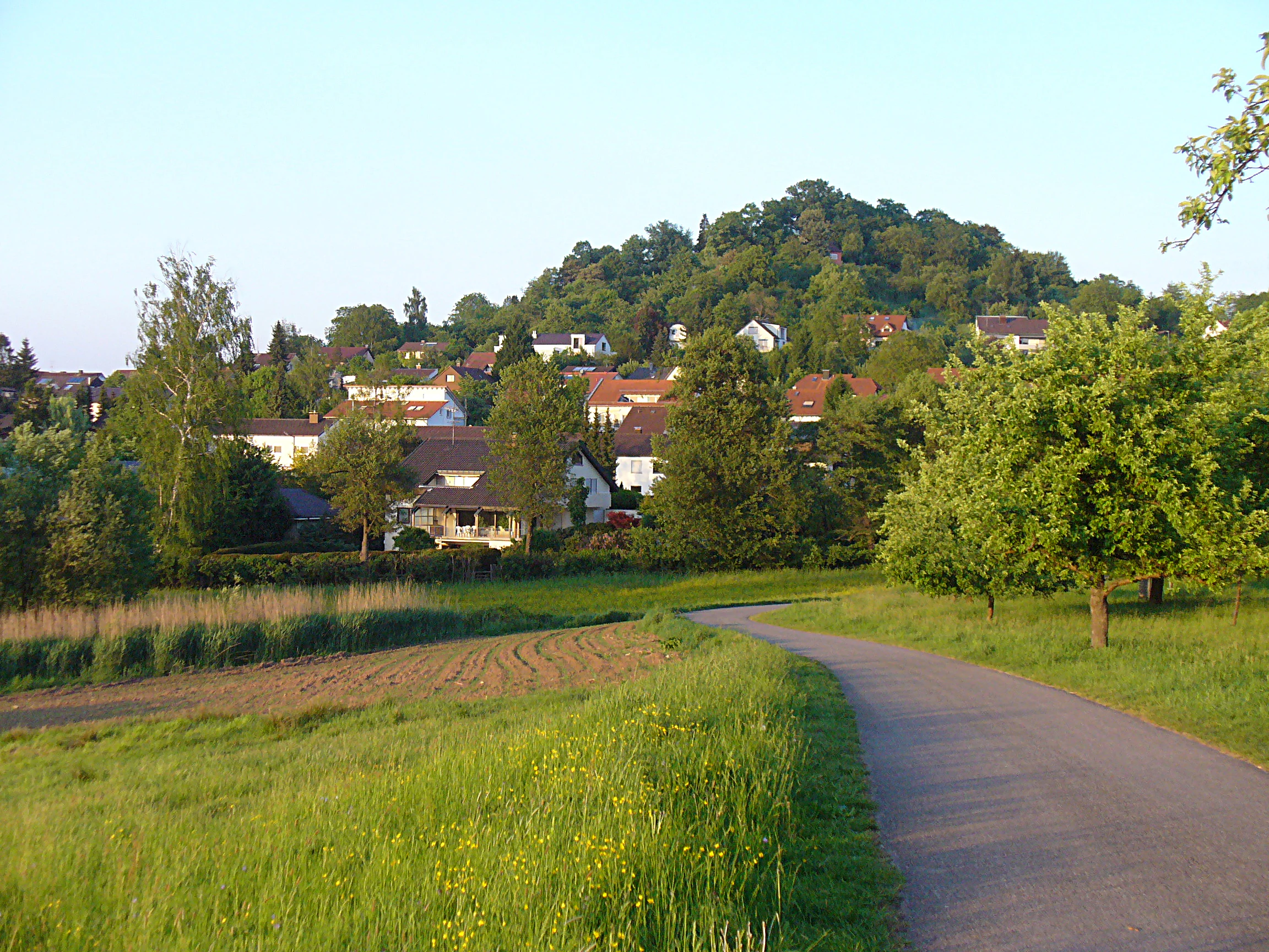 A paved path leads through a grassy field towards a forested hill, with several houses visible at the foot of the slope.