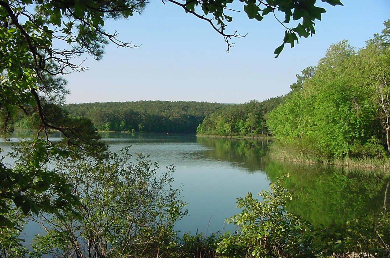 A peaceful, reflective lake framed by foreground tree branches, with densely wooded hills rising in the distance under a clear blue sky.