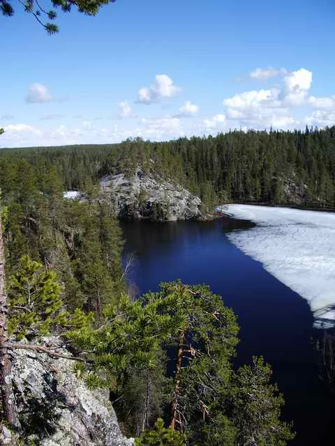 River flowing through dense forest with rocky outcrop under partly cloudy sky