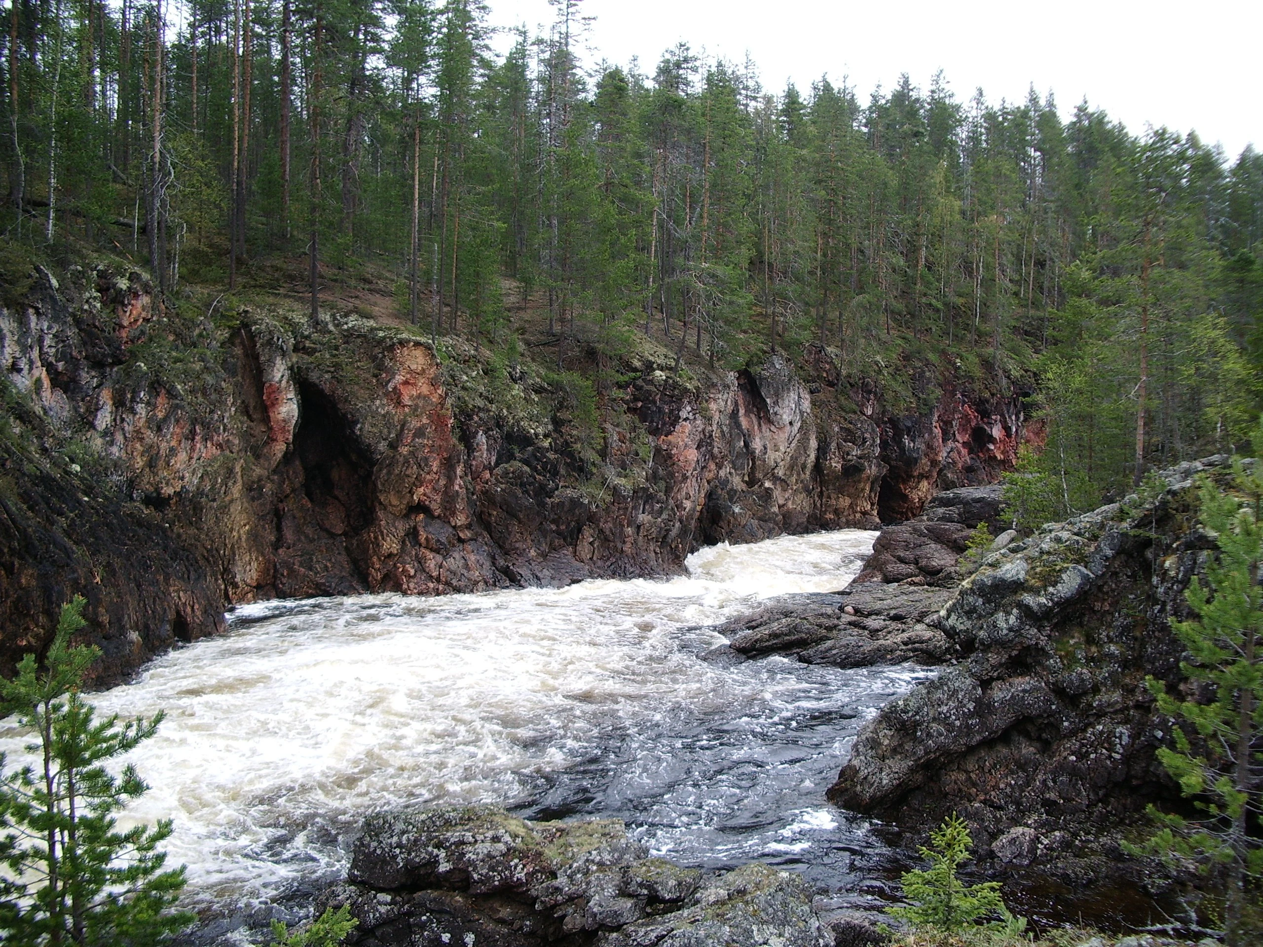 Rapid river flow with white water between rocky cliffs and forested shoreline