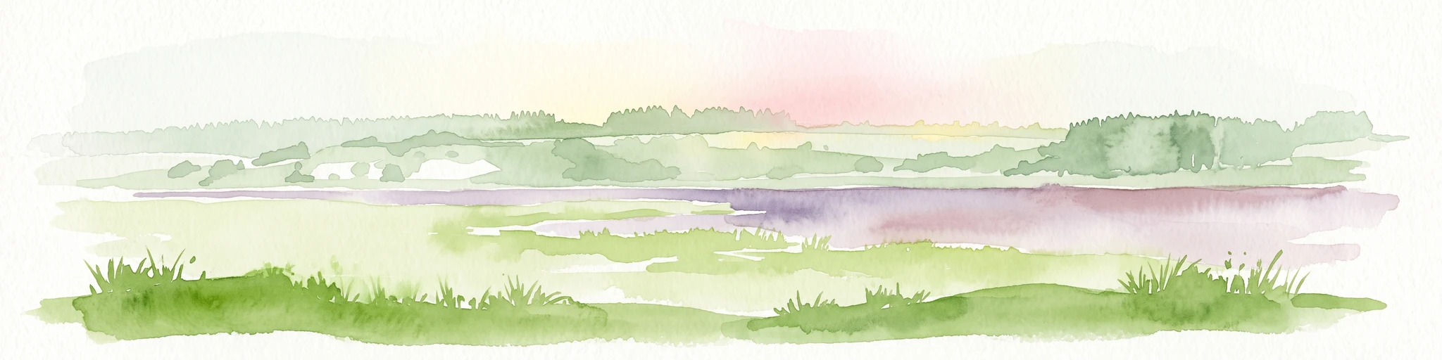 A soft, painterly watercolor illustration of a shallow lake landscape featuring gentle green grassy foreground, a calm body of water, and distant treelined hills under a pale, warm sky.