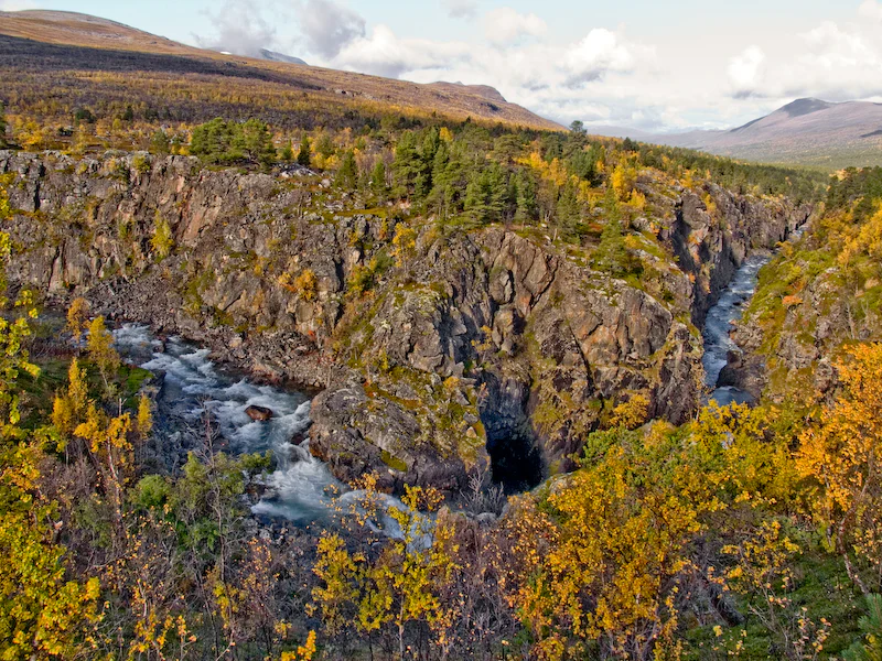 River flowing through rocky canyon with autumn-colored trees and mountains in background