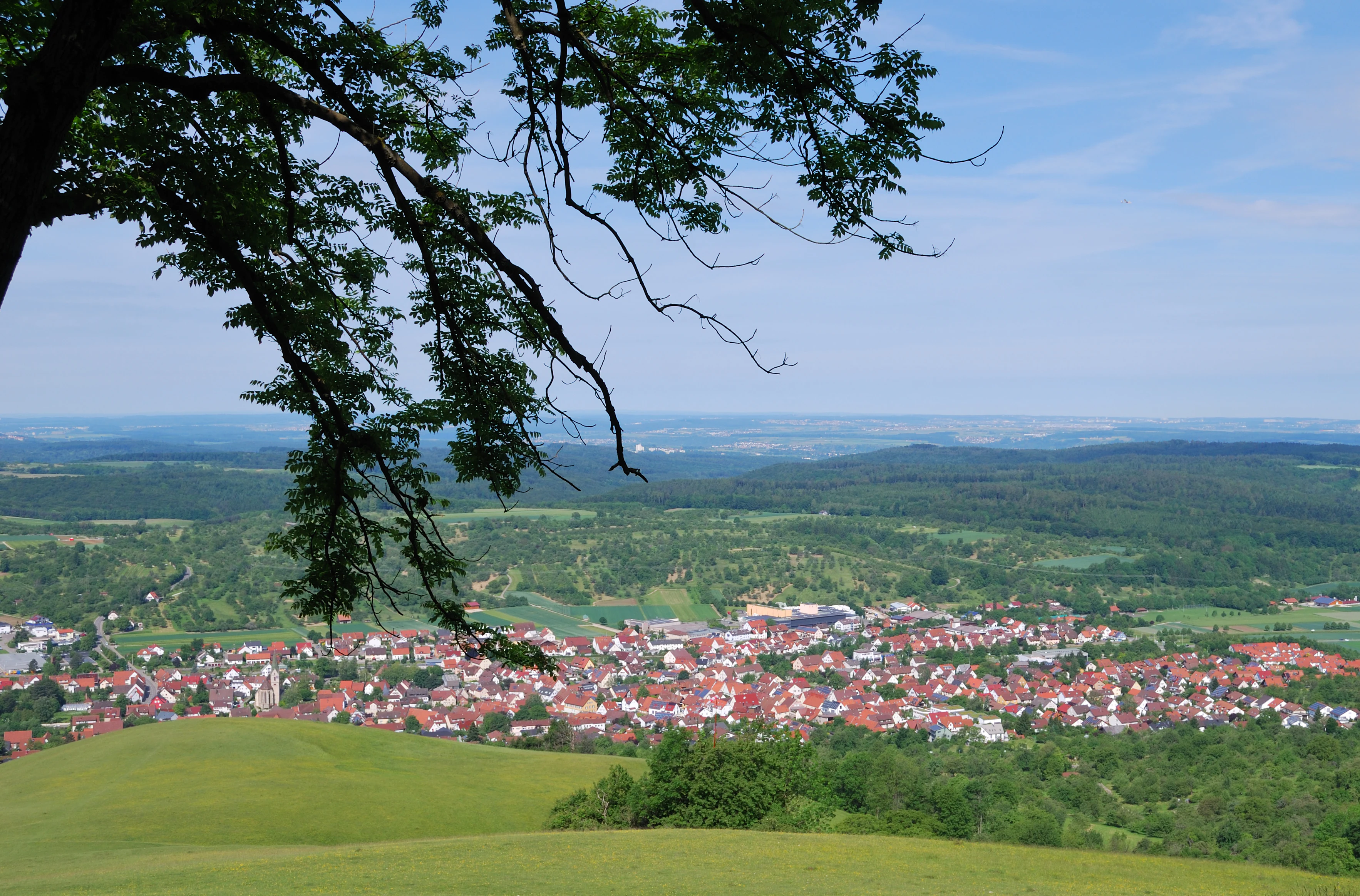 An elevated, wide-angle view overlooking a town with red-roofed houses in a valley, framed by a tree branch in the foreground, with rolling green hills and a forested horizon.