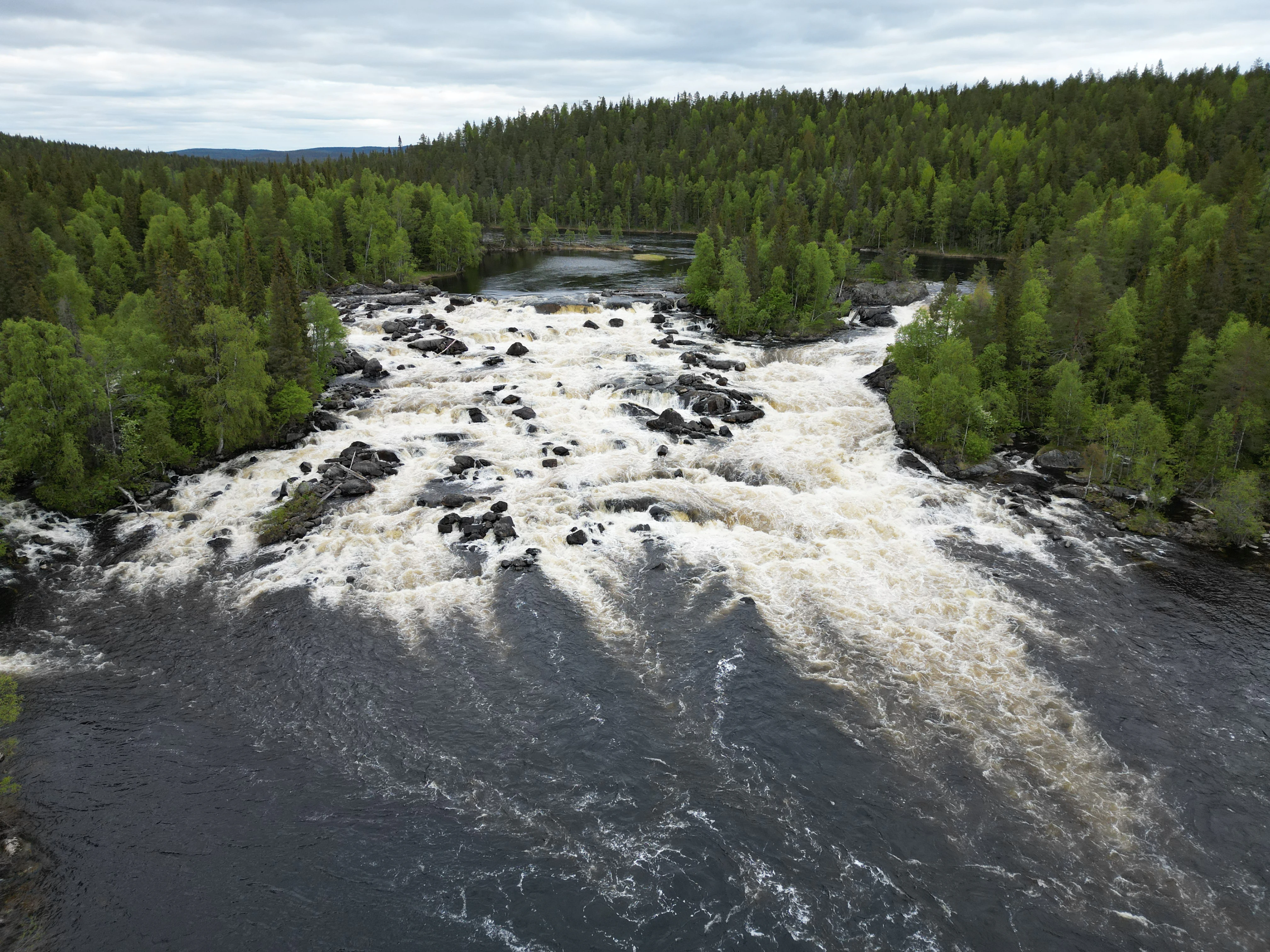 Vista elevada de la cascada de Kivakkakoski, con agua oscura y caudalosa fluyendo sobre las rocas y rodeada de un denso bosque de coníferas bajo un cielo nublado.