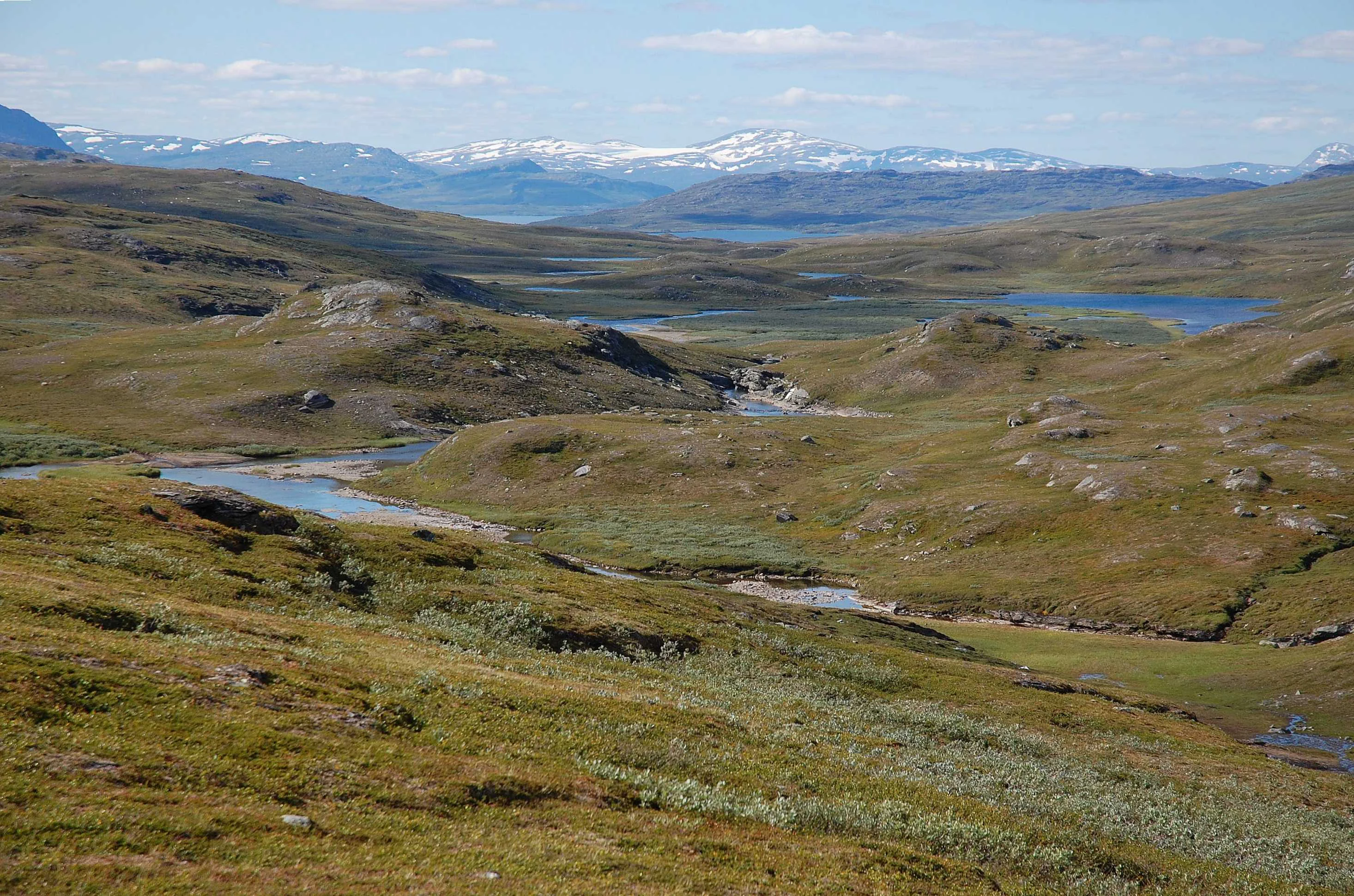 Wide landscape of Padjelanta National Park featuring grassy hills, small lakes, and snow-covered mountains in the background