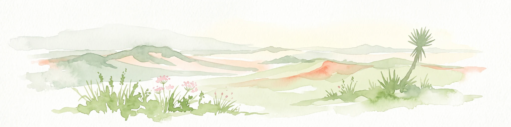 Una ilustración de estilo acuarela y suave de un paisaje con dunas onduladas, hierbas dispersas y una solitaria planta de yuca.