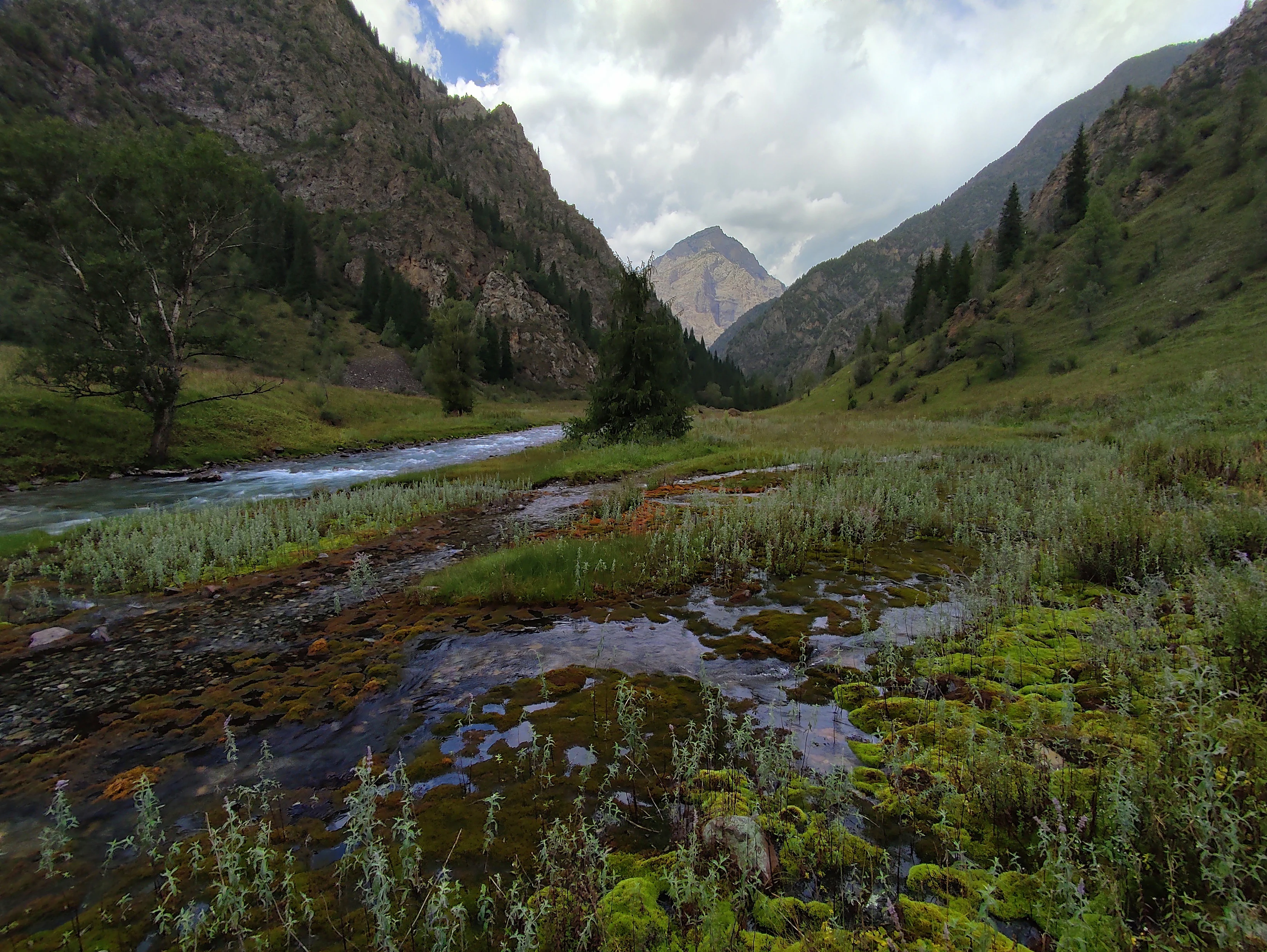 A clear, shallow mountain stream winds through a green, grassy valley surrounded by steep, rocky mountains in Kyrgyzstan.