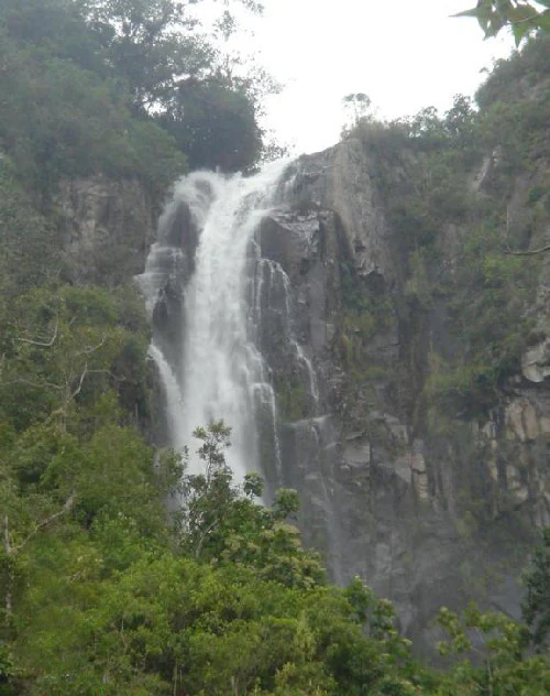 A tall waterfall cascades over a steep, dark, rocky cliff surrounded by dense green forest foliage.