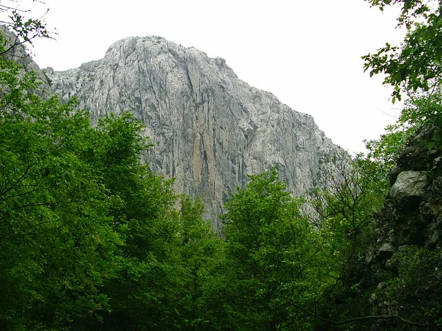 A large rocky mountain cliff with dense green trees in the foreground