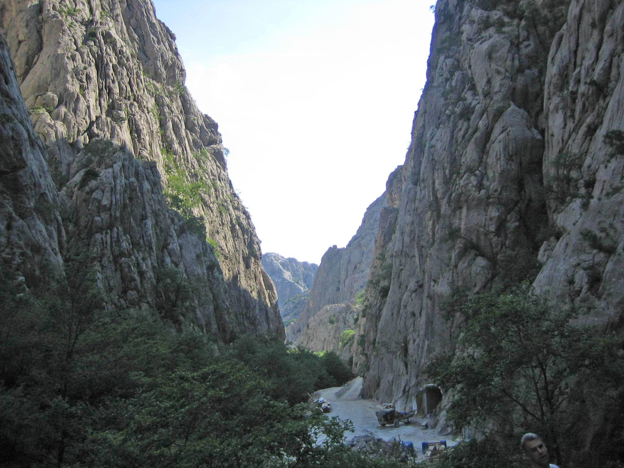 Tall rocky canyon walls flanking a winding road through a valley with greenery