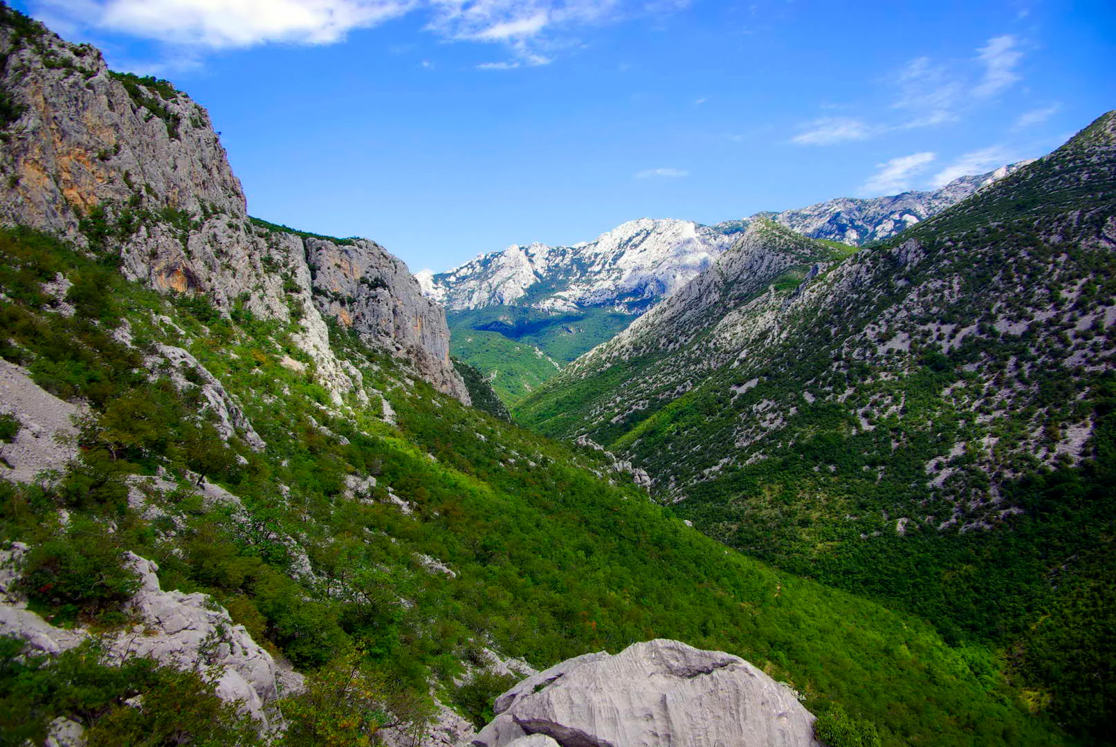 Wide view of a canyon with steep rocky cliffs covered in green vegetation, leading to a valley and distant snow-capped mountains under a clear blue sky.