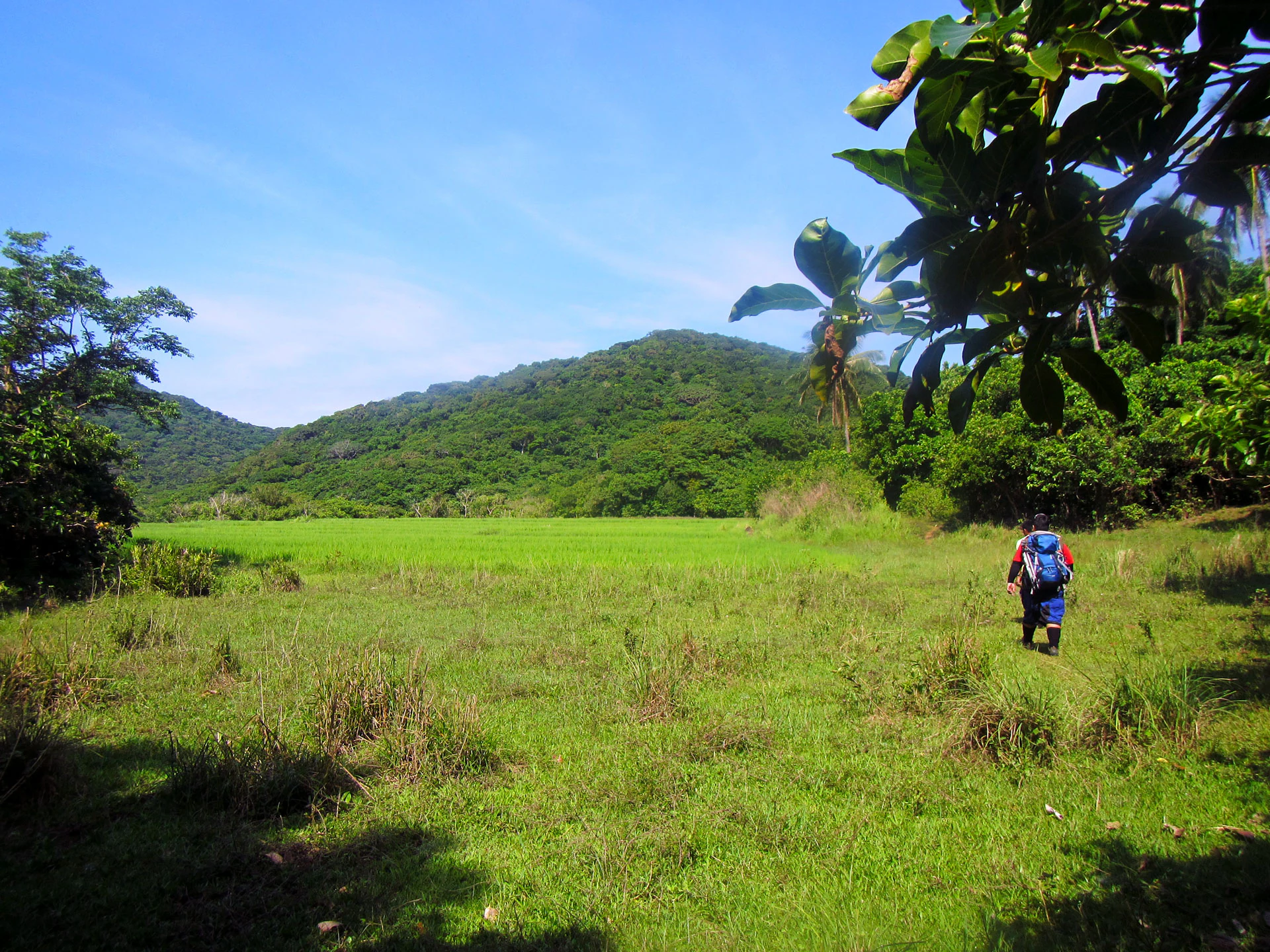 A hiker with a backpack walking across a grassy field toward distant forested hills under a clear blue sky.