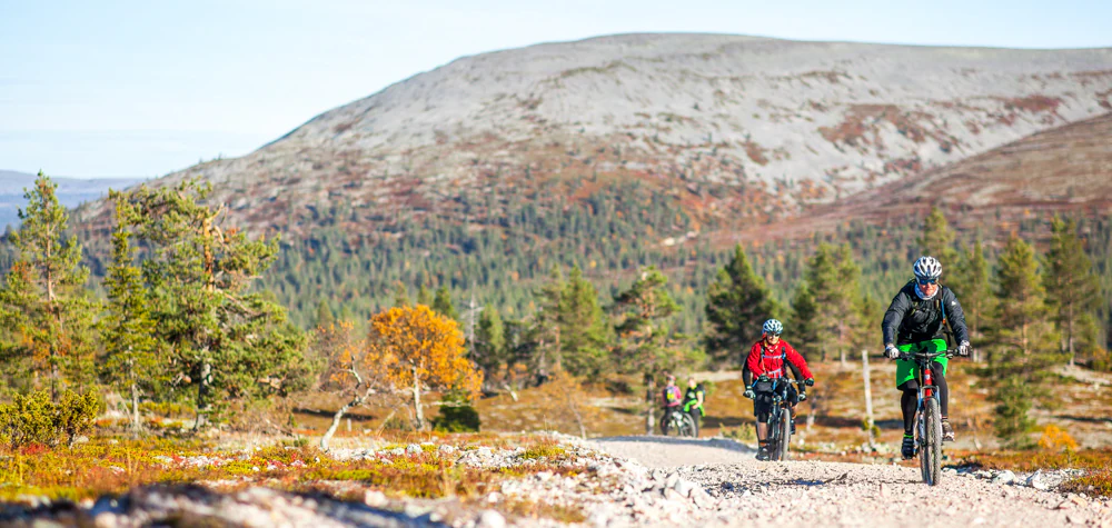 Two mountain bikers on a gravel trail with a forested mountain landscape behind them