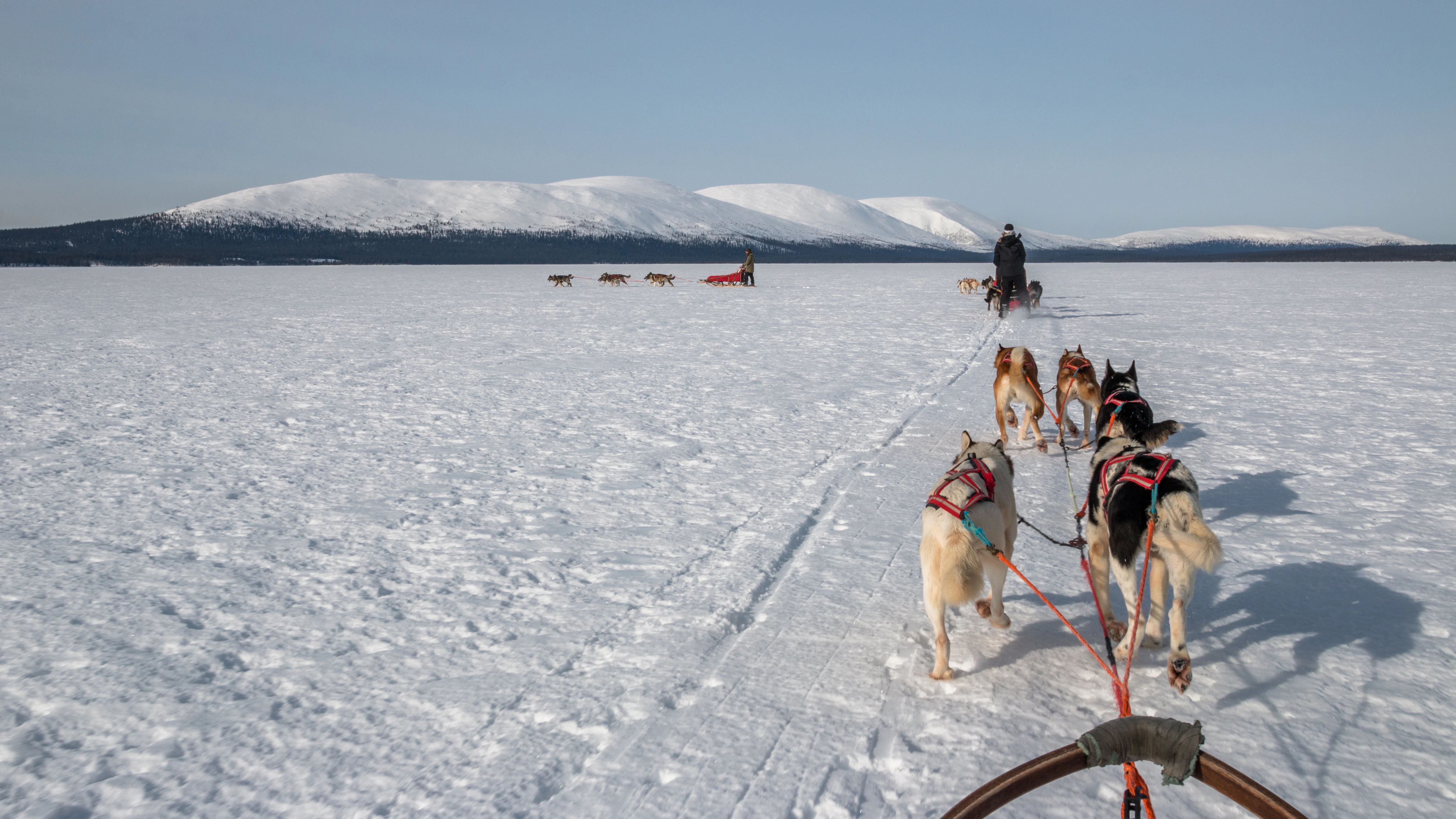 Dog sled team pulling a sled across a snow-covered frozen lake with distant mountains under a clear sky