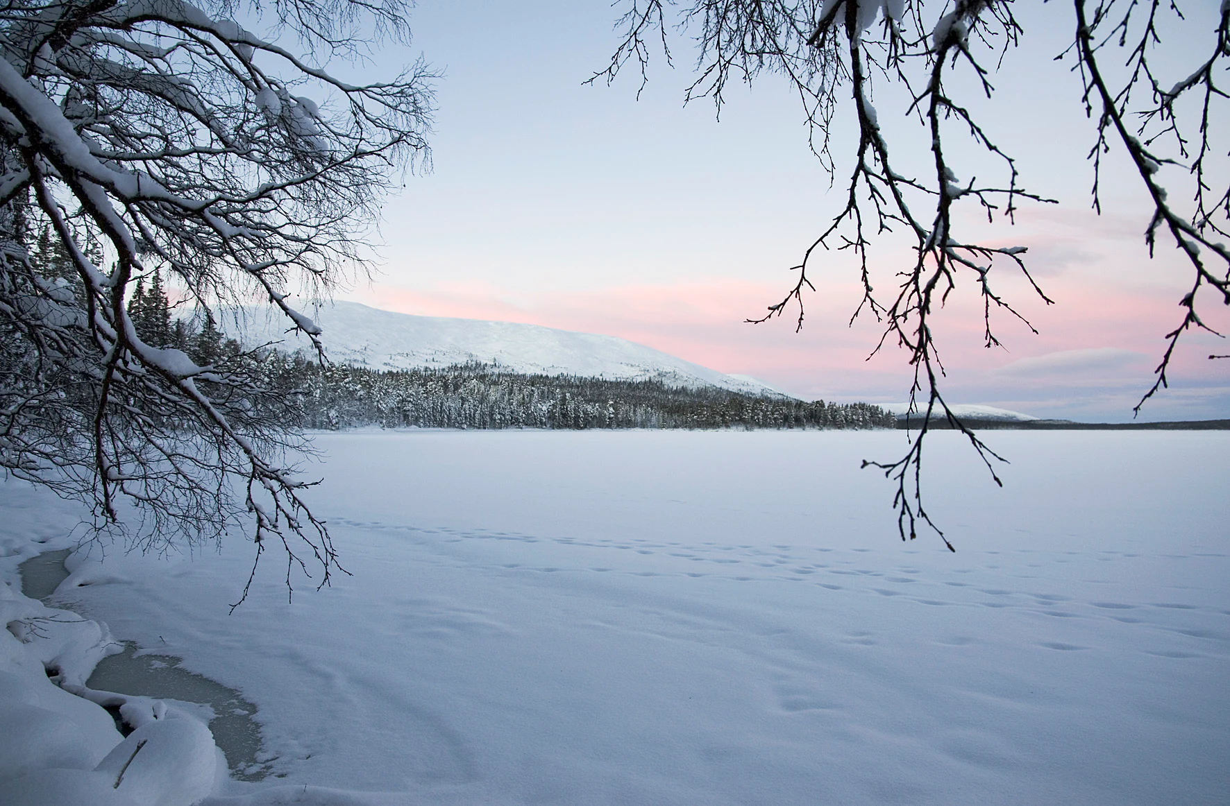 Snow-covered lake surrounded by bare tree branches with distant hills under a pale sky
