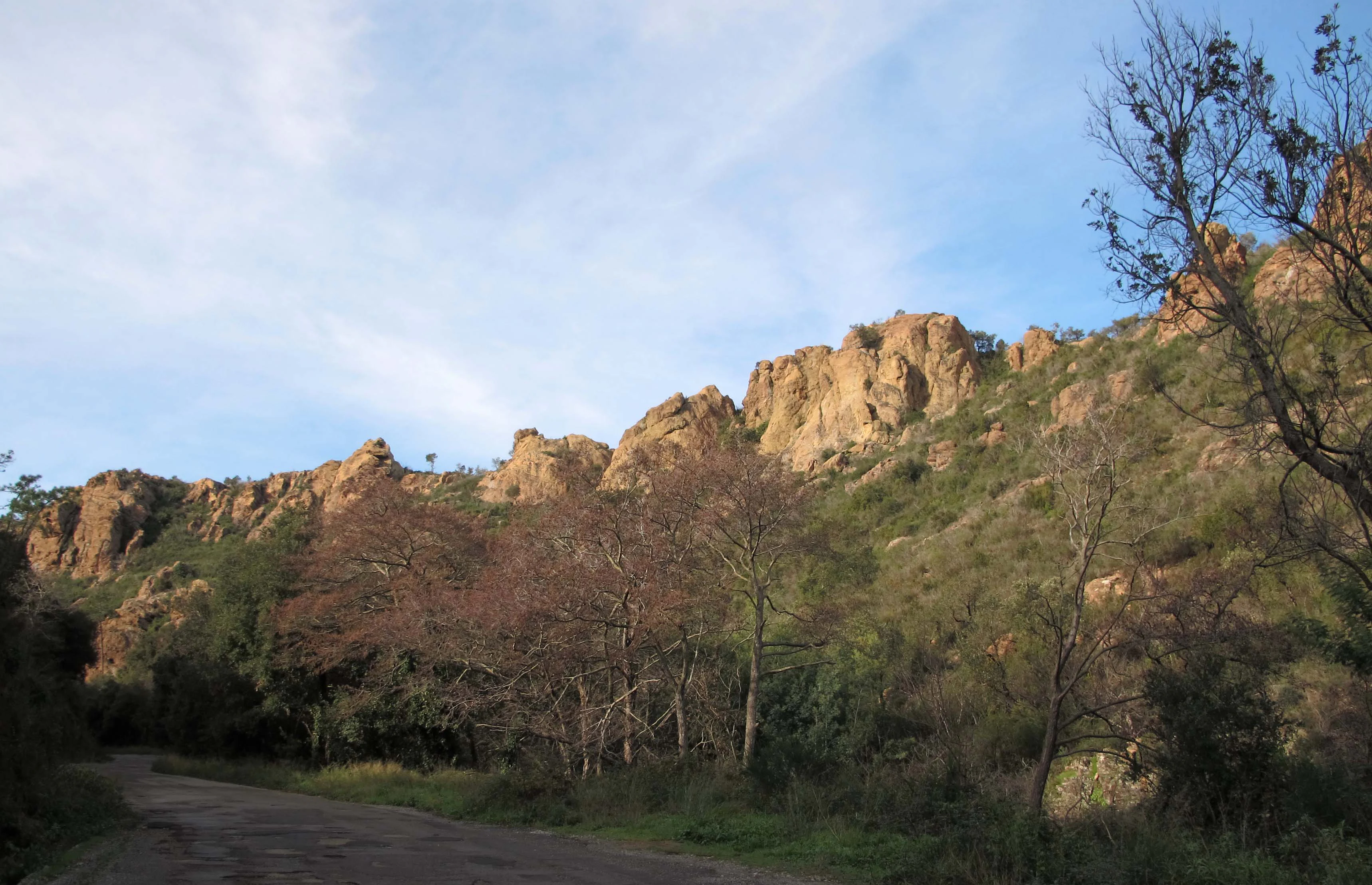 A wide angle view of reddish rocky ridgelines rising above a treed valley with a dirt path in the foreground.