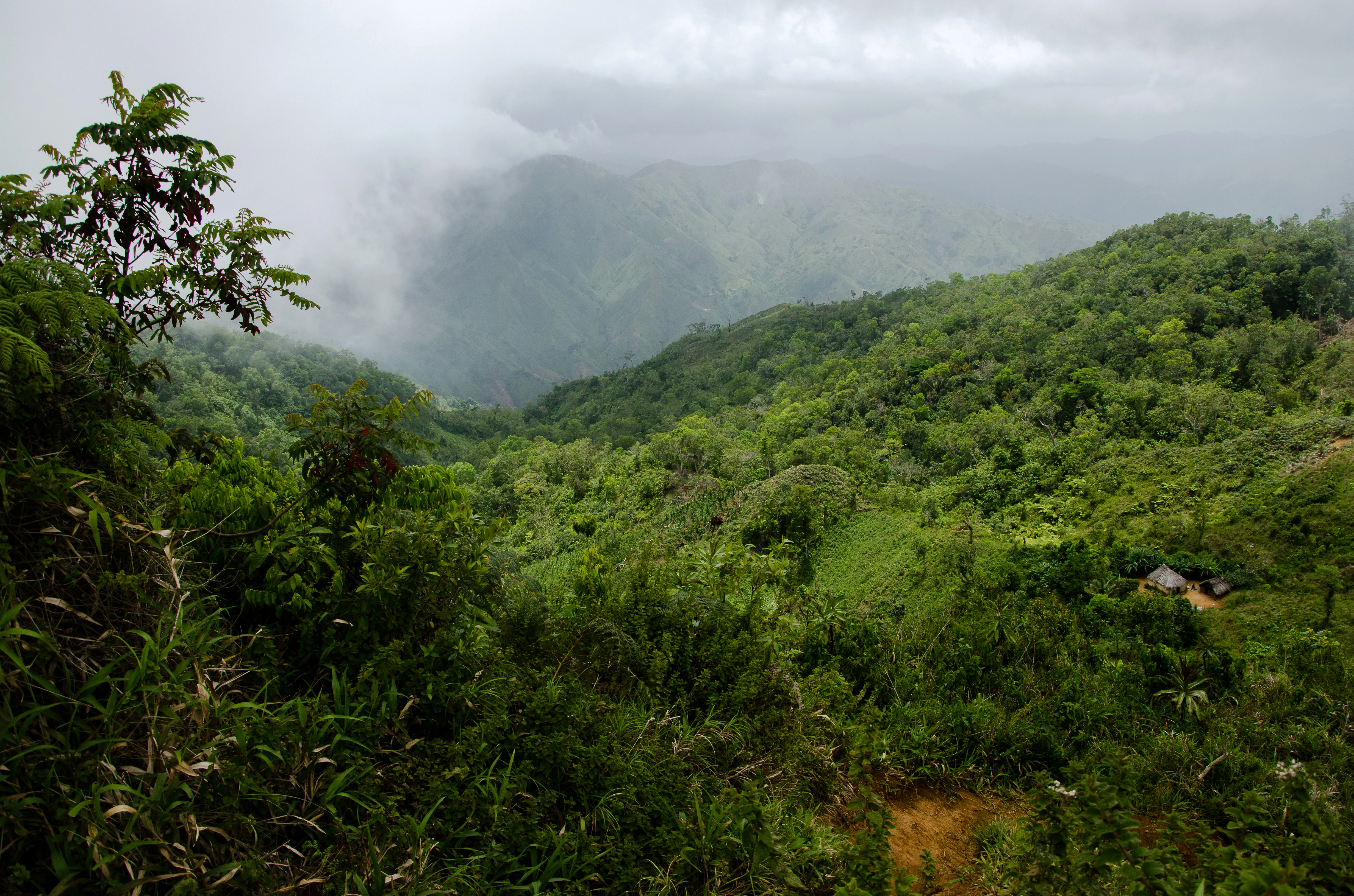 A wide, slightly elevated view of a lush green mountain valley under a cloudy, misty sky, with dense tropical forest covering the slopes.