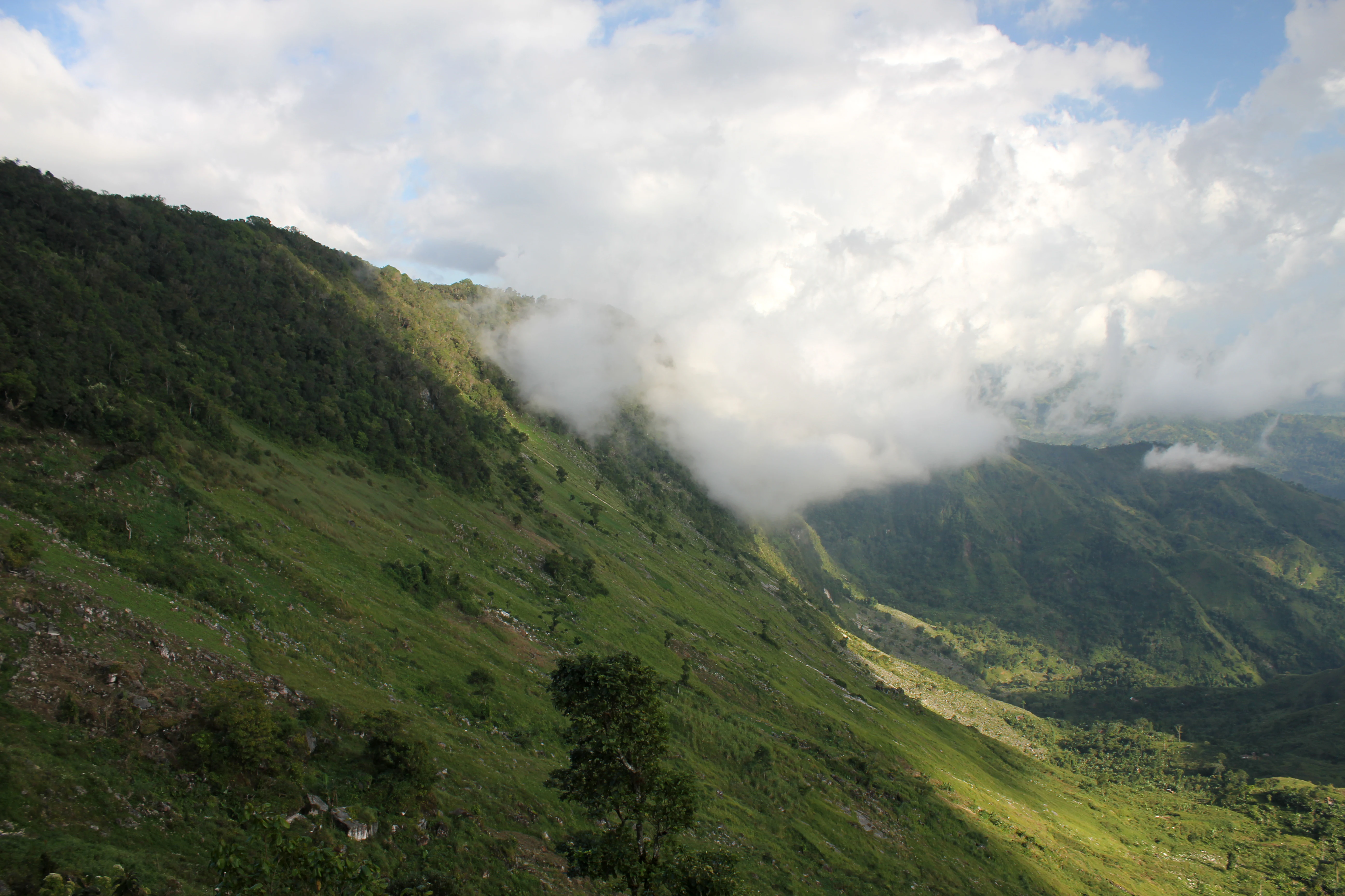 Una vista amplia de una ladera verde y frondosa que desciende, con nubes aferradas a la cresta y capas de montañas lejanas que se desvanecen al fondo.