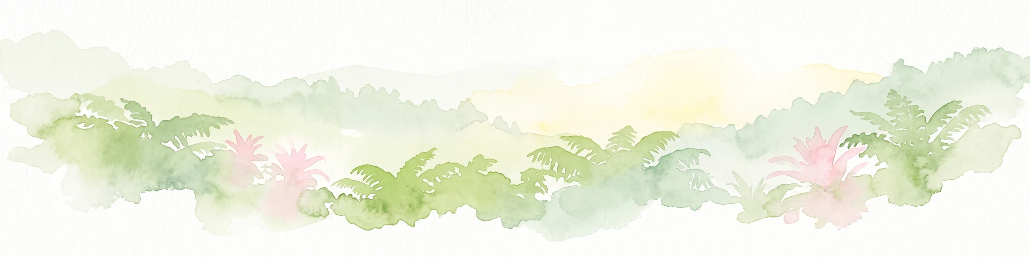 Una ilustración en acuarela que muestra una franja de frondoso follaje tropical verde, helechos y plantas con flores rosadas sobre un fondo suave y claro.