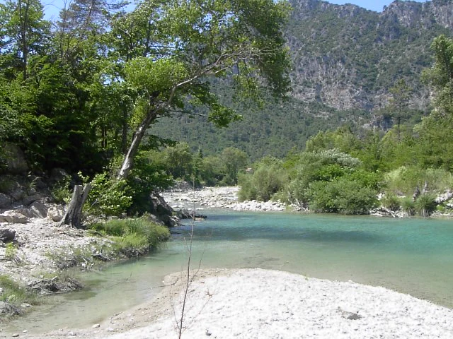 A wide view of a turquoise river flowing through a forested valley with steep rocky slopes in the background.