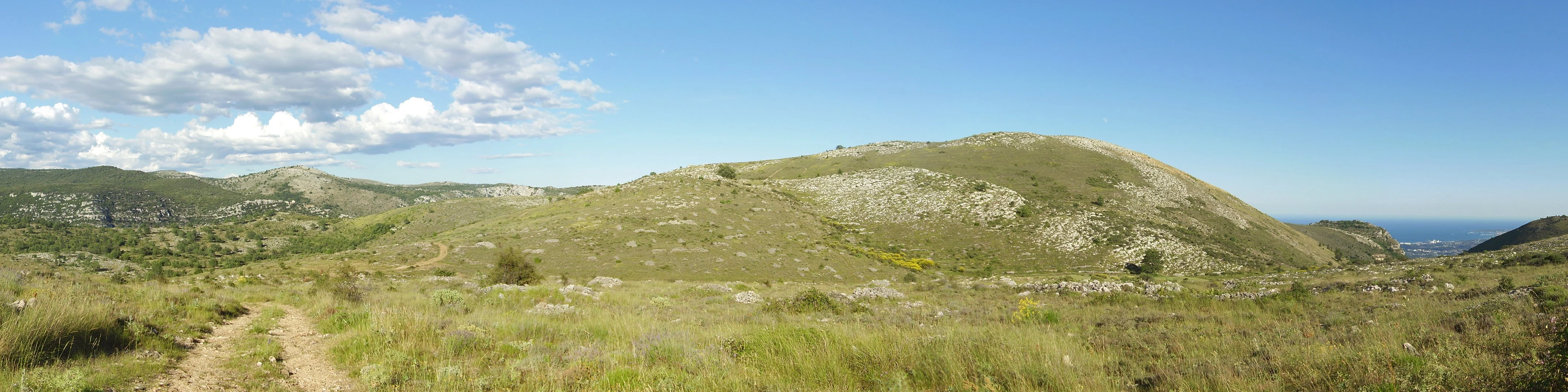 A wide panoramic shot of rolling grassy hills under a clear blue sky, with a dirt trail visible in the left foreground.