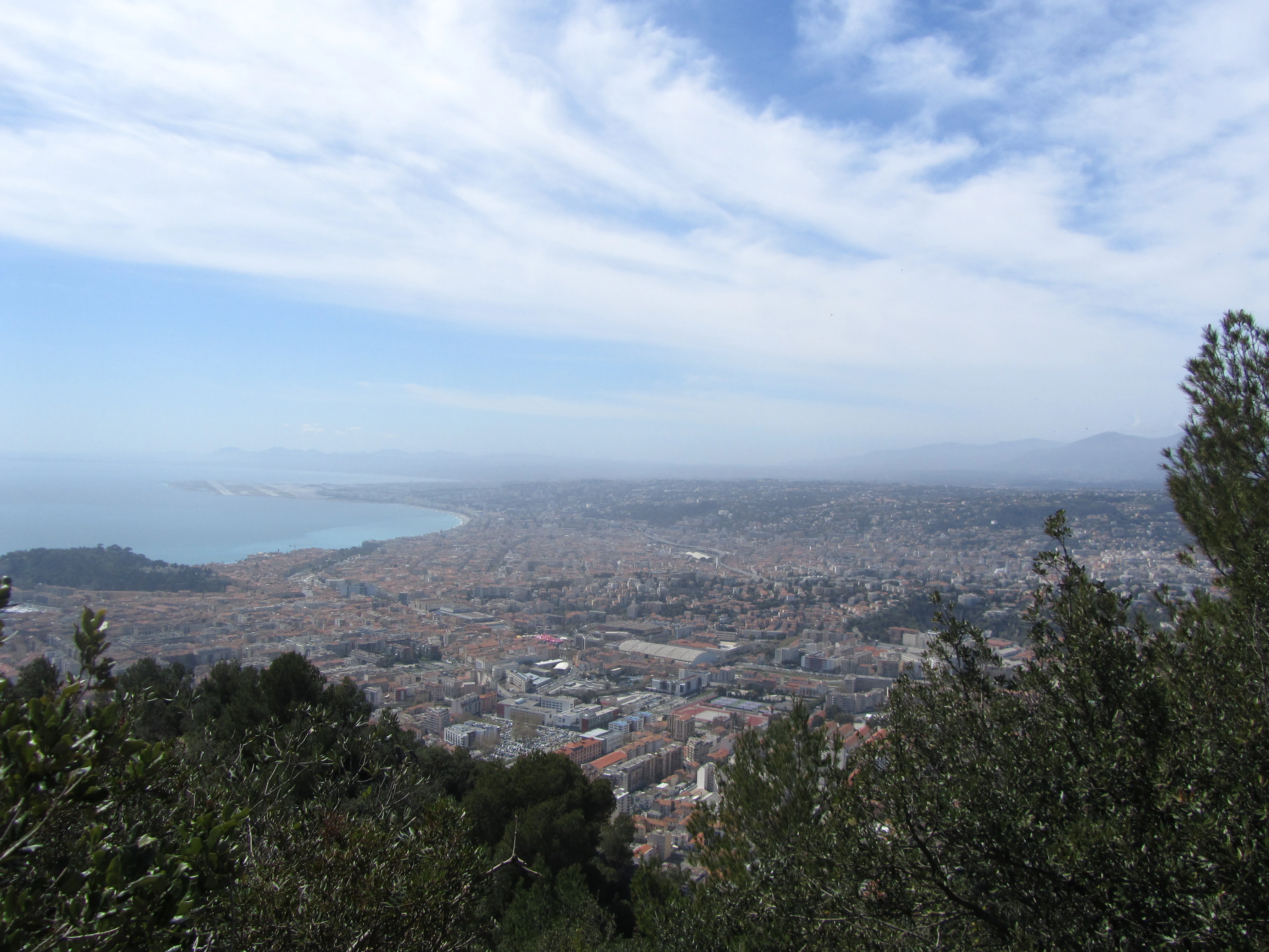 A wide aerial view looking down over the sprawling urban landscape of Nice, France, framed by treetops in the foreground with the Mediterranean Sea and horizon in the background.