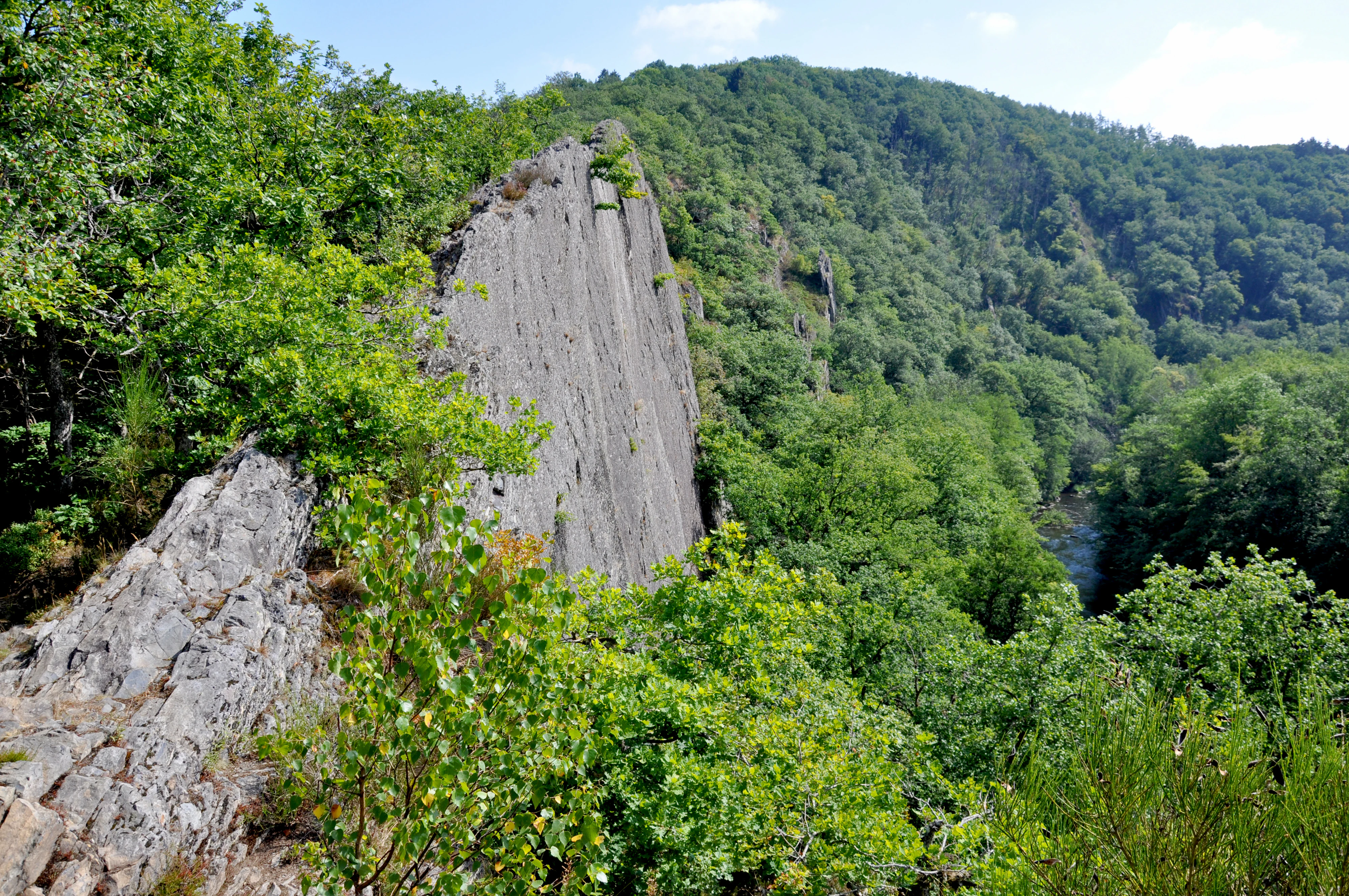 A steep, rocky cliff ridge rises sharply above a dense, green forest valley in the Belgian Ardennes.