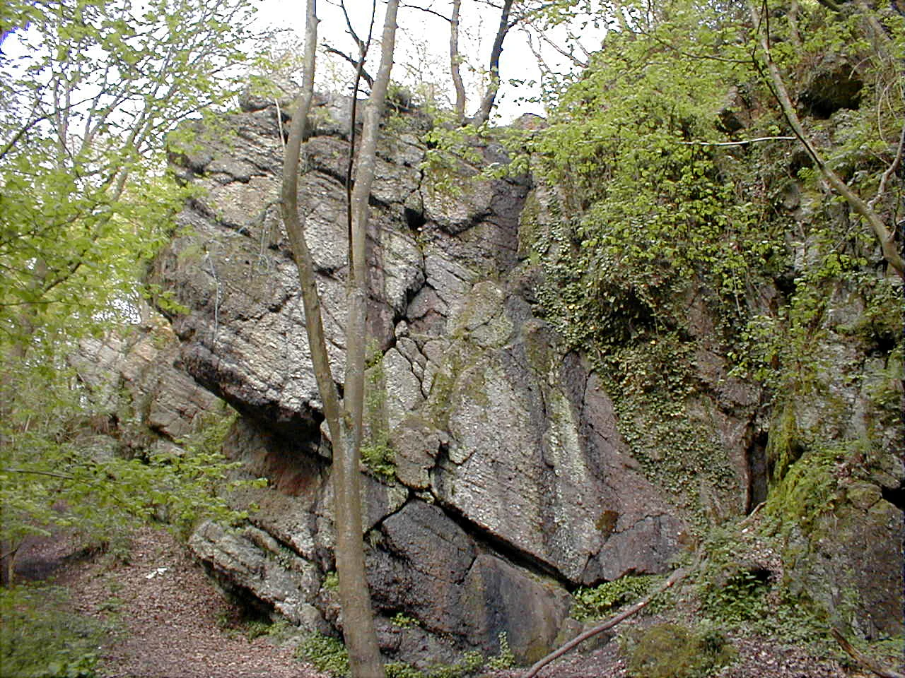 A large, rugged, moss-covered rock formation surrounded by dense green trees and foliage in a forest setting.
