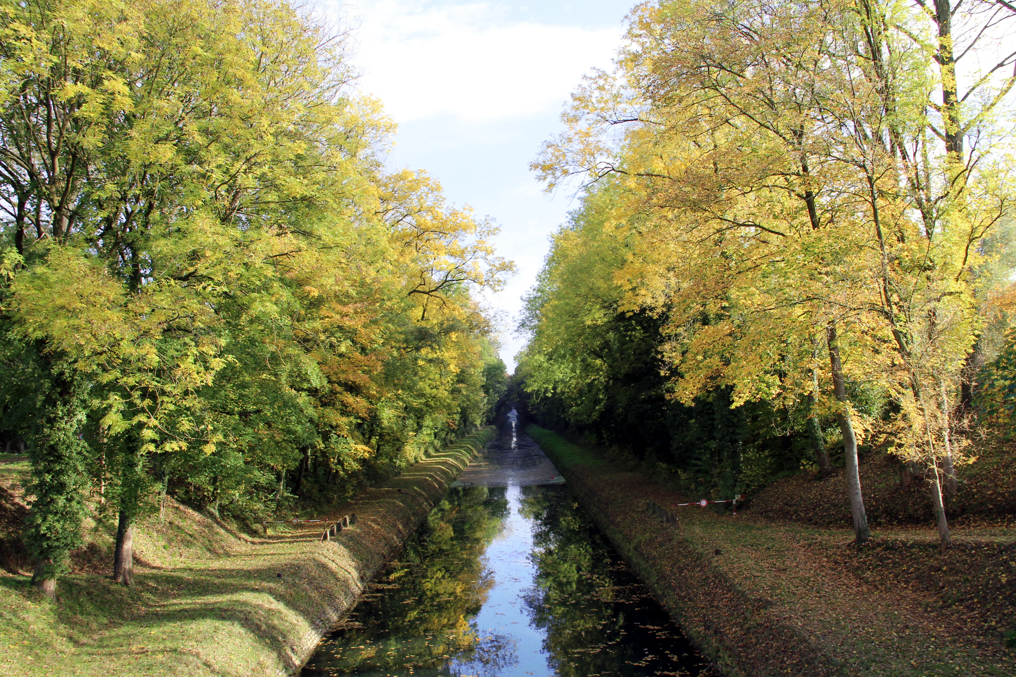 A narrow canal stretches into the distance, framed on both sides by a dense row of trees with yellow and green autumn leaves.