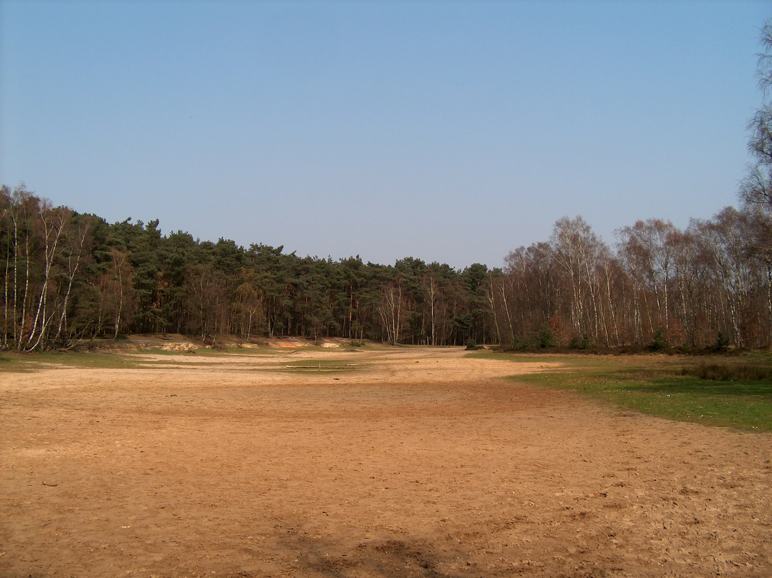 A wide, sandy clearing surrounded by a dense forest under a clear blue sky.