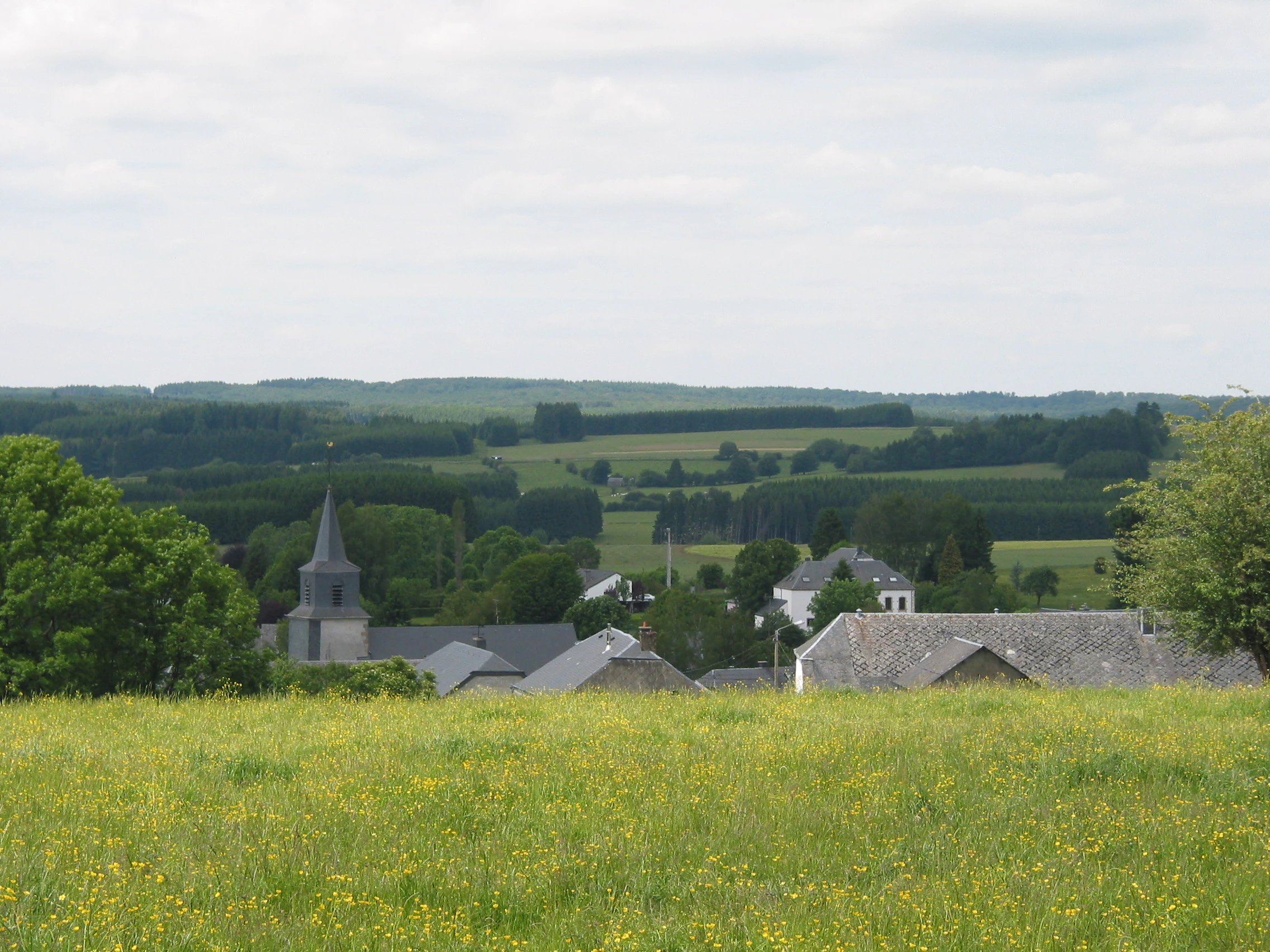 A wide view of a small village in Belgium with a church steeple, surrounded by green fields and forests under a light cloudy sky.